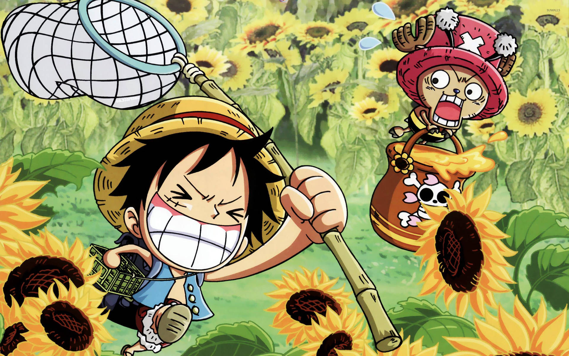 One Piece Luffy ve Chopper ayçiçeği tarlasında duvar kağıdı.