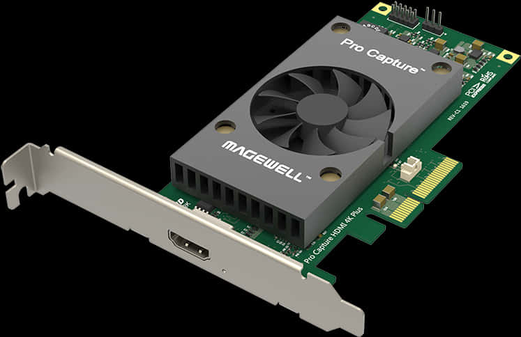 Magewell Pro Yakalama Kartı Duvar Kağıdı
