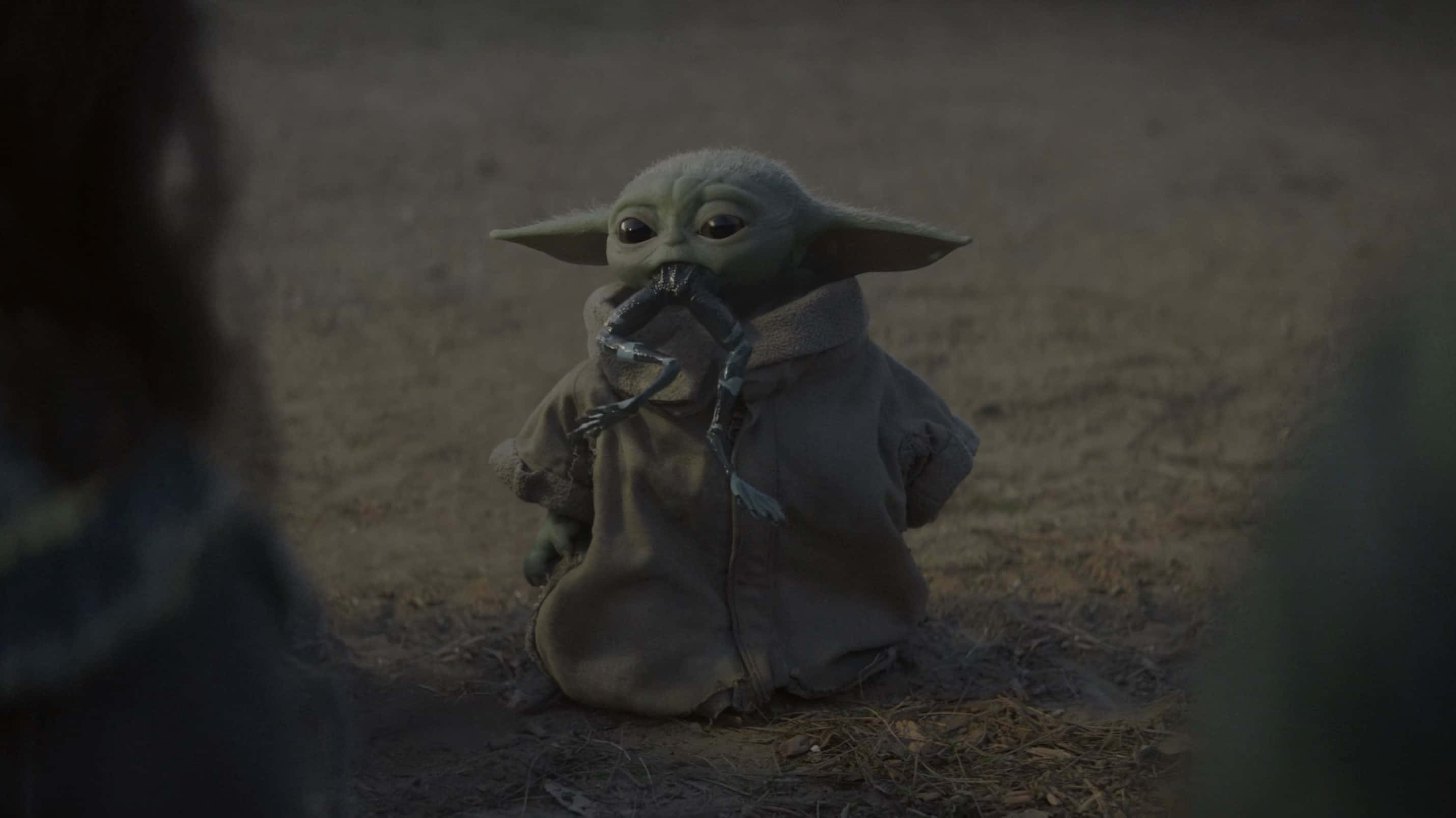 Mandalorian Yoda Kurbağa Bacaklarını Isırıyor Duvar Kağıdı