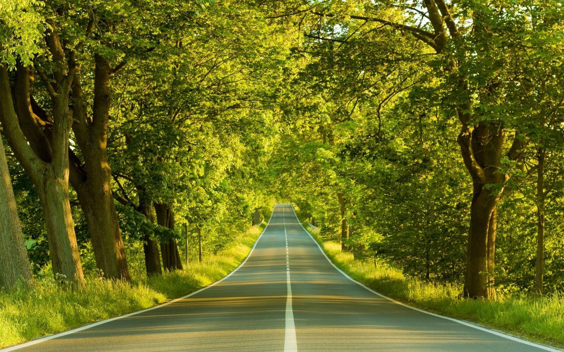 Masaüstü Tam Ekran HD Yol Duvar Kağıdı