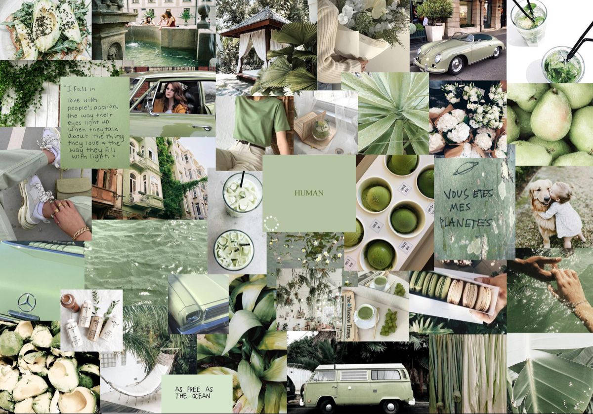 Matcha Yeşili Estetik Kolaj Dizüstü Bilgisayar Duvar Kağıdı