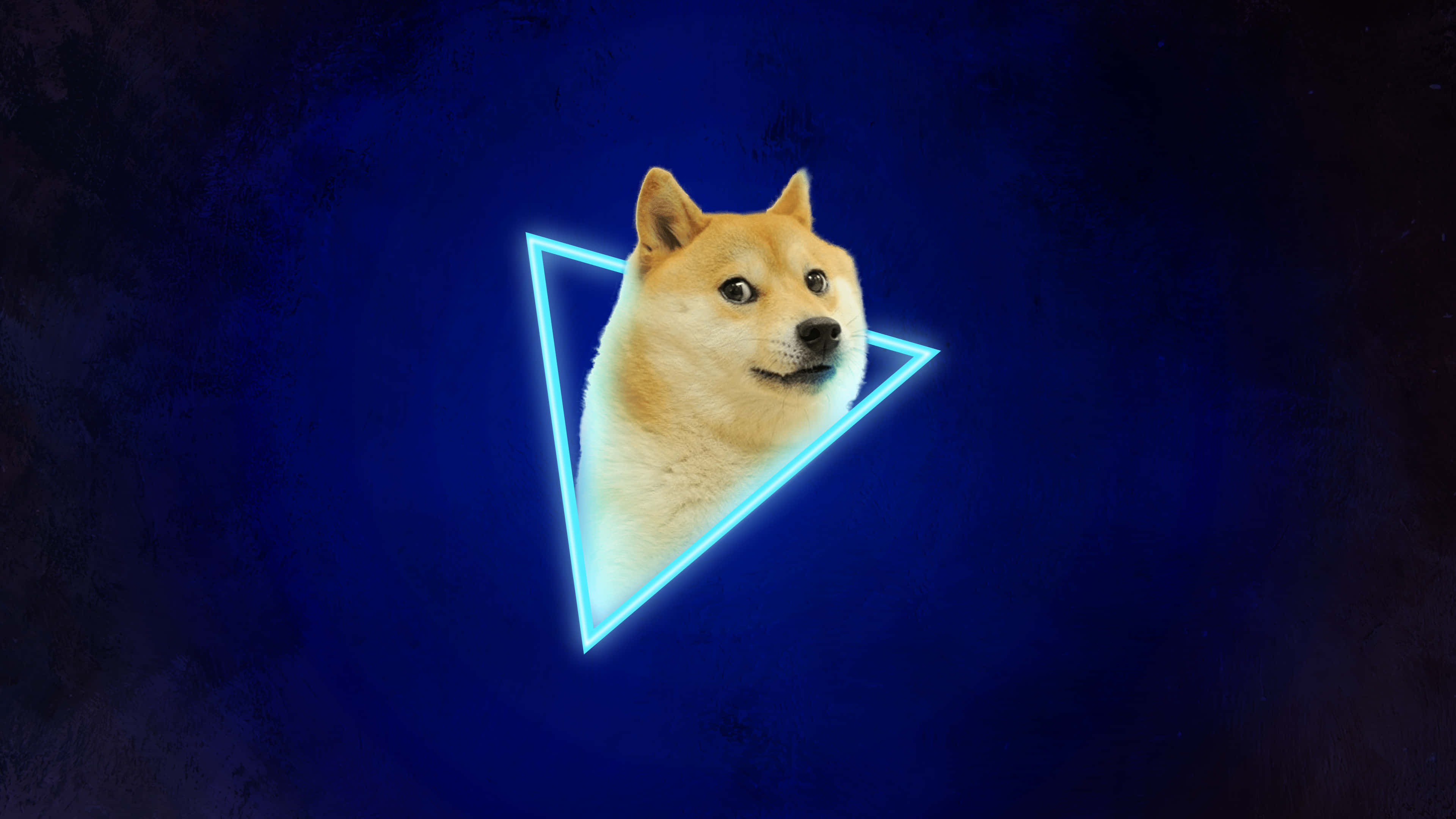 Mavi Doge Üçgeni Duvar Kağıdı