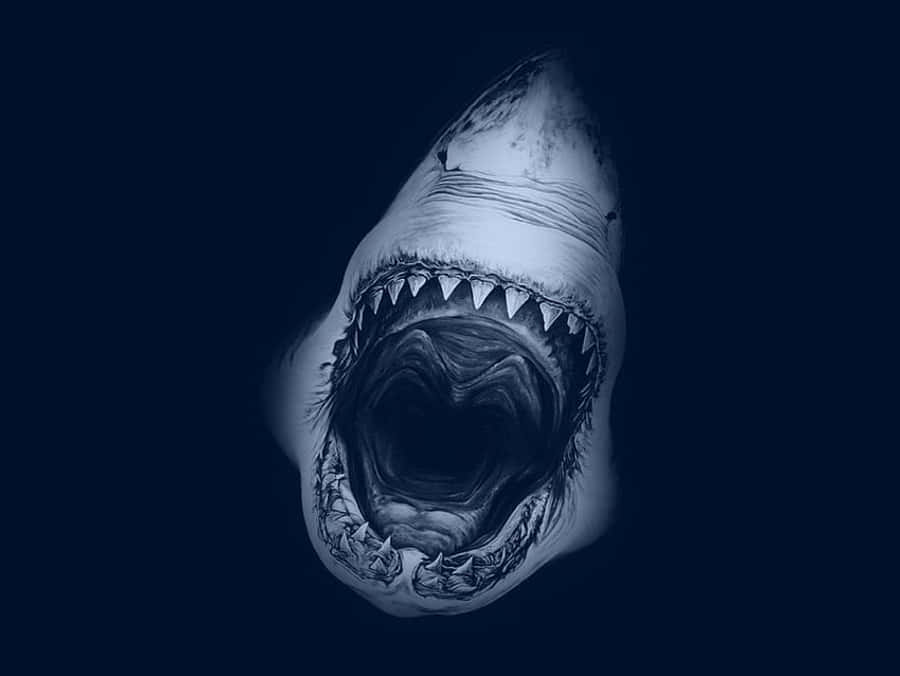 Mavi Estetik Megalodon Kükremesi Duvar Kağıdı