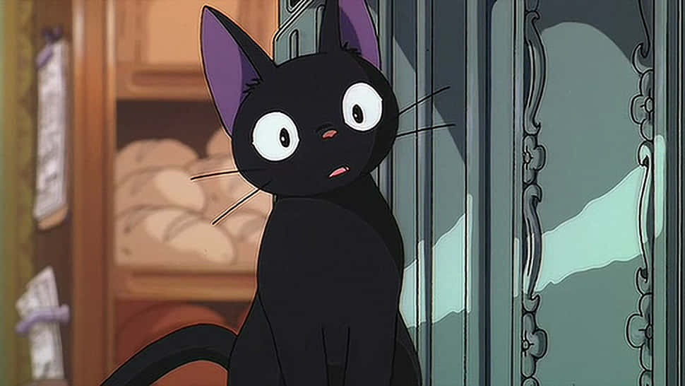 Mavi gözlü bir Anime Kedisi gün batımının tadını çıkarıyor Duvar Kağıdı