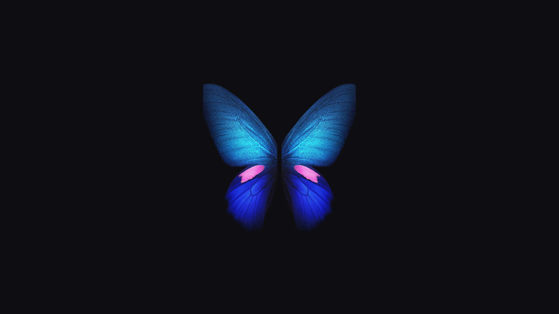 4K OLED Arkaplan — Kelebek estetiği GIF Duvar Kağıdı