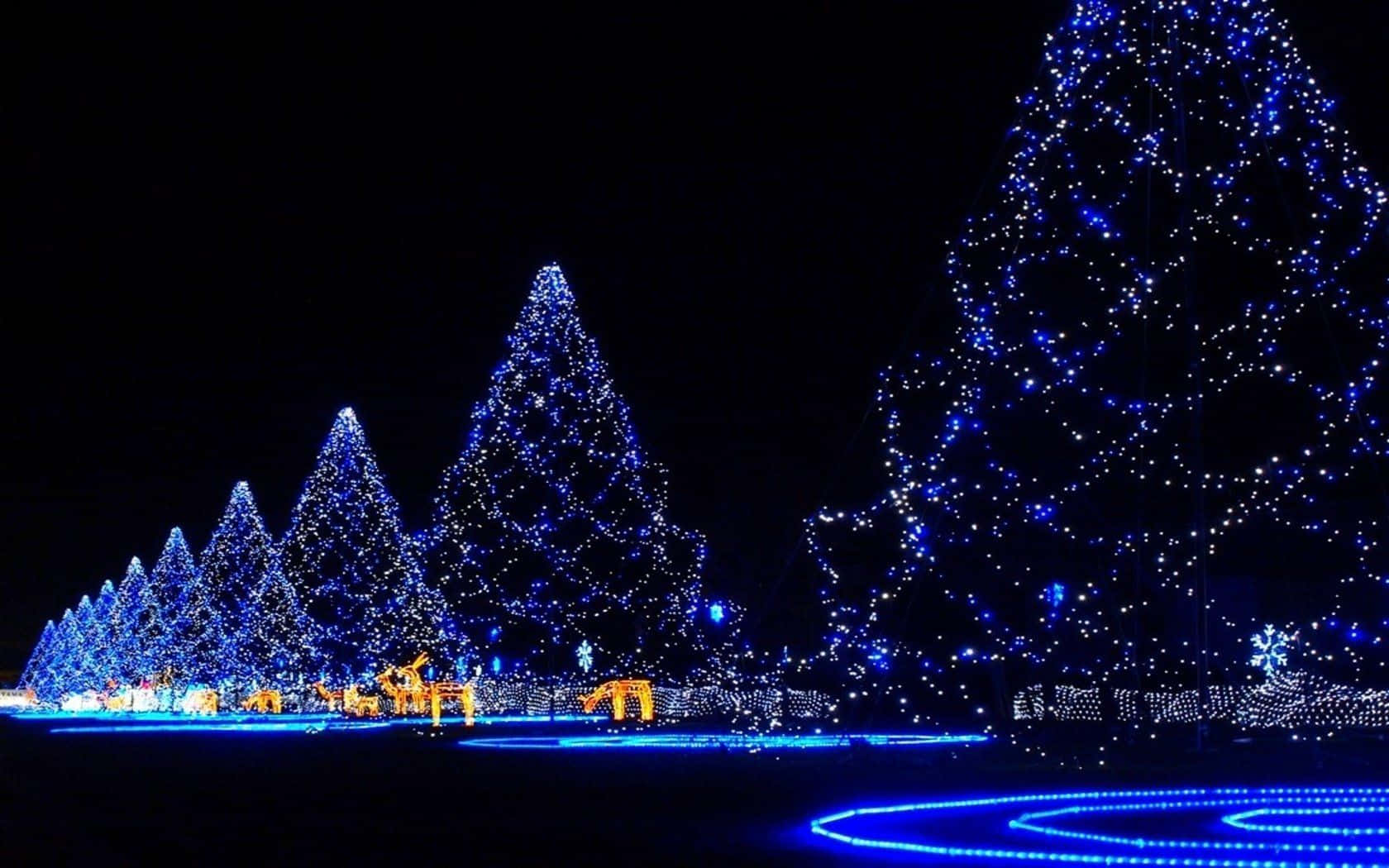 Mavi Noel Ağaçları Duvar Kağıdı