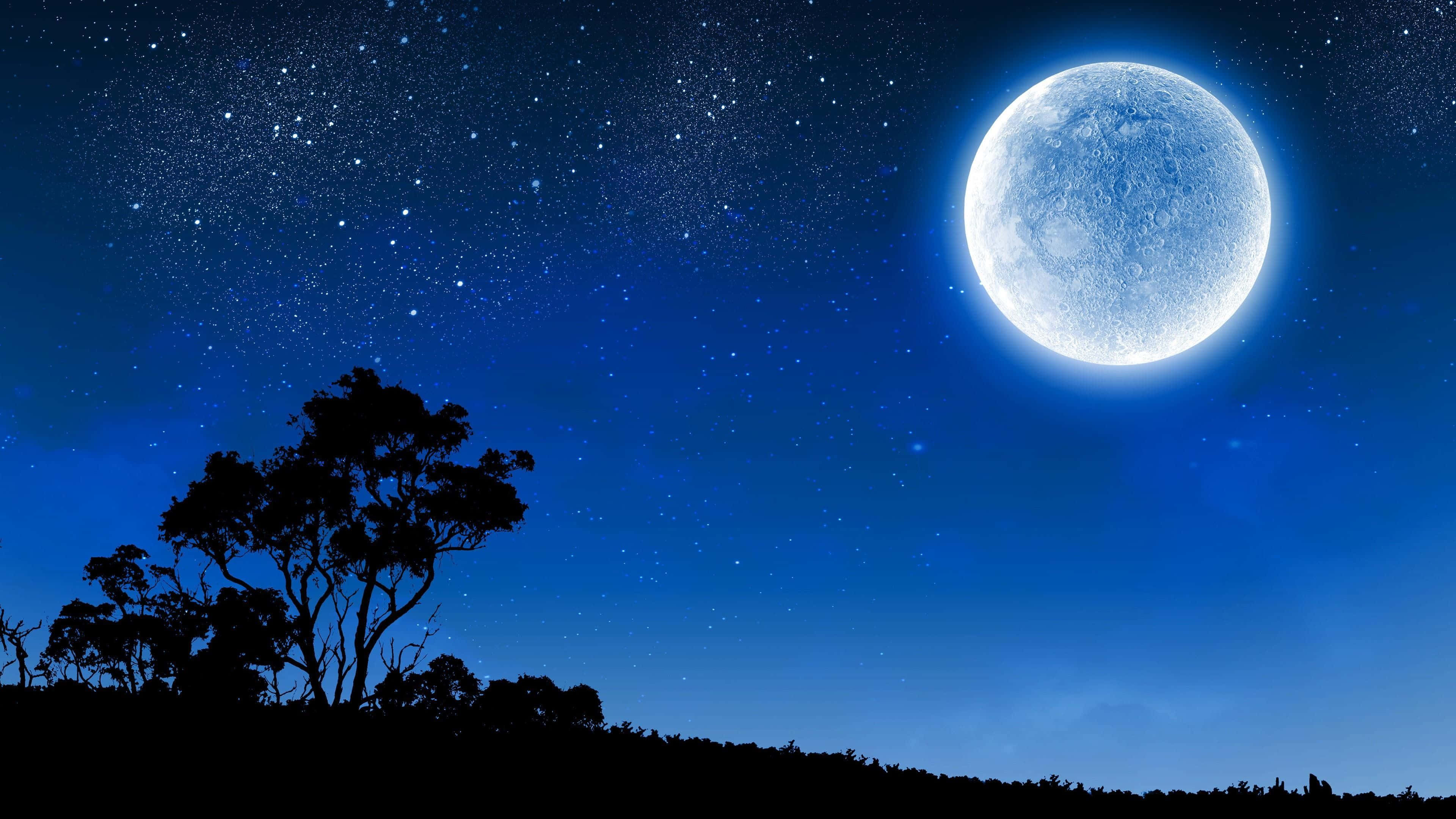 Mavi Yıldızlı Gece Gökyüzü Ay Duvar Kağıdı