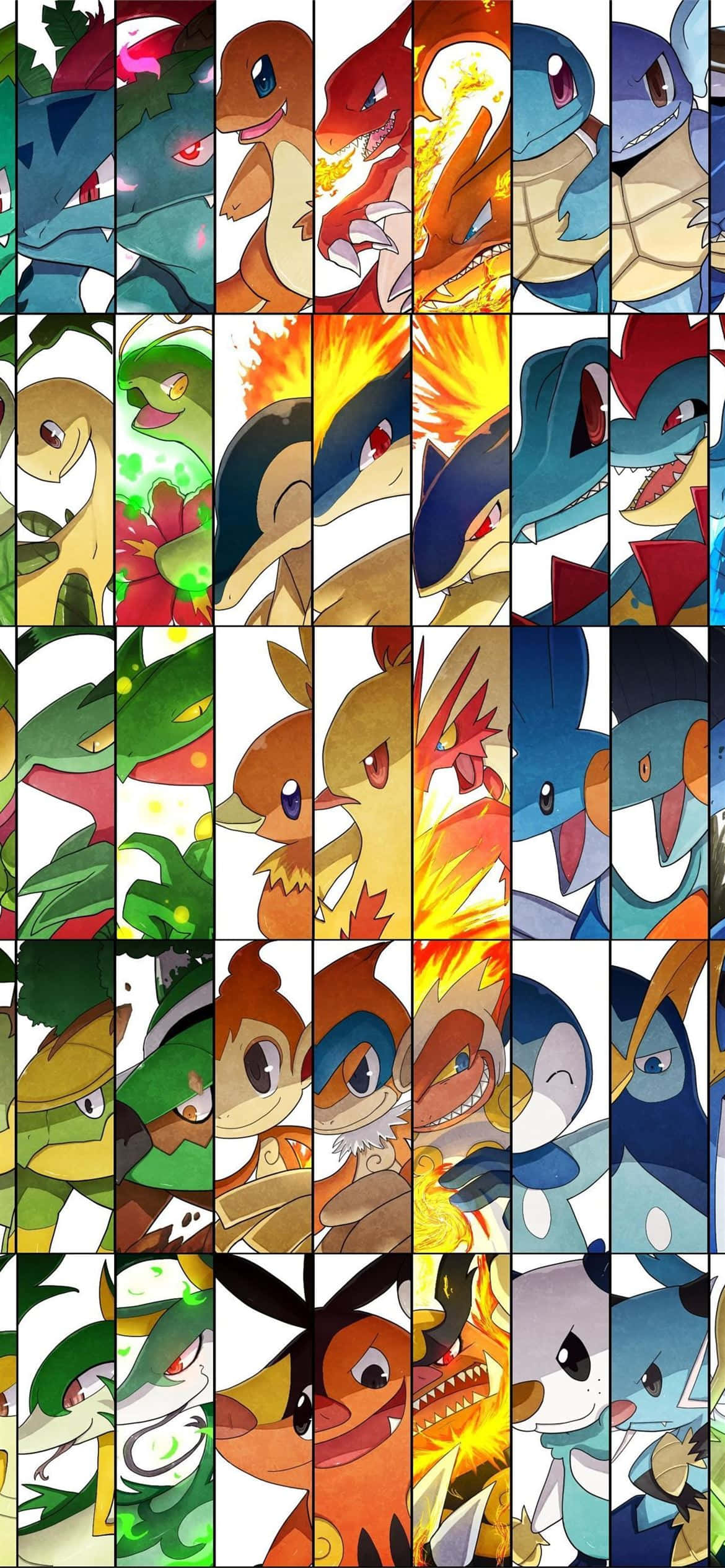 Meganium'lu Pokemon Evrim Kolajı Duvar Kağıdı