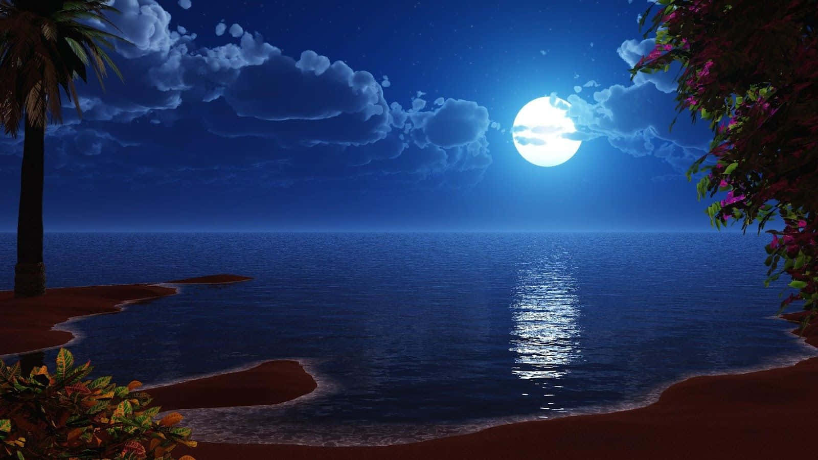 mehtaplı bir gece sahnesi, palmiye ağaçları ve plaj Duvar Kağıdı