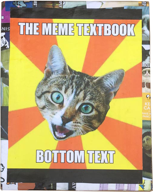 Meme Ders Kitabı Kedisi.JPG Duvar Kağıdı