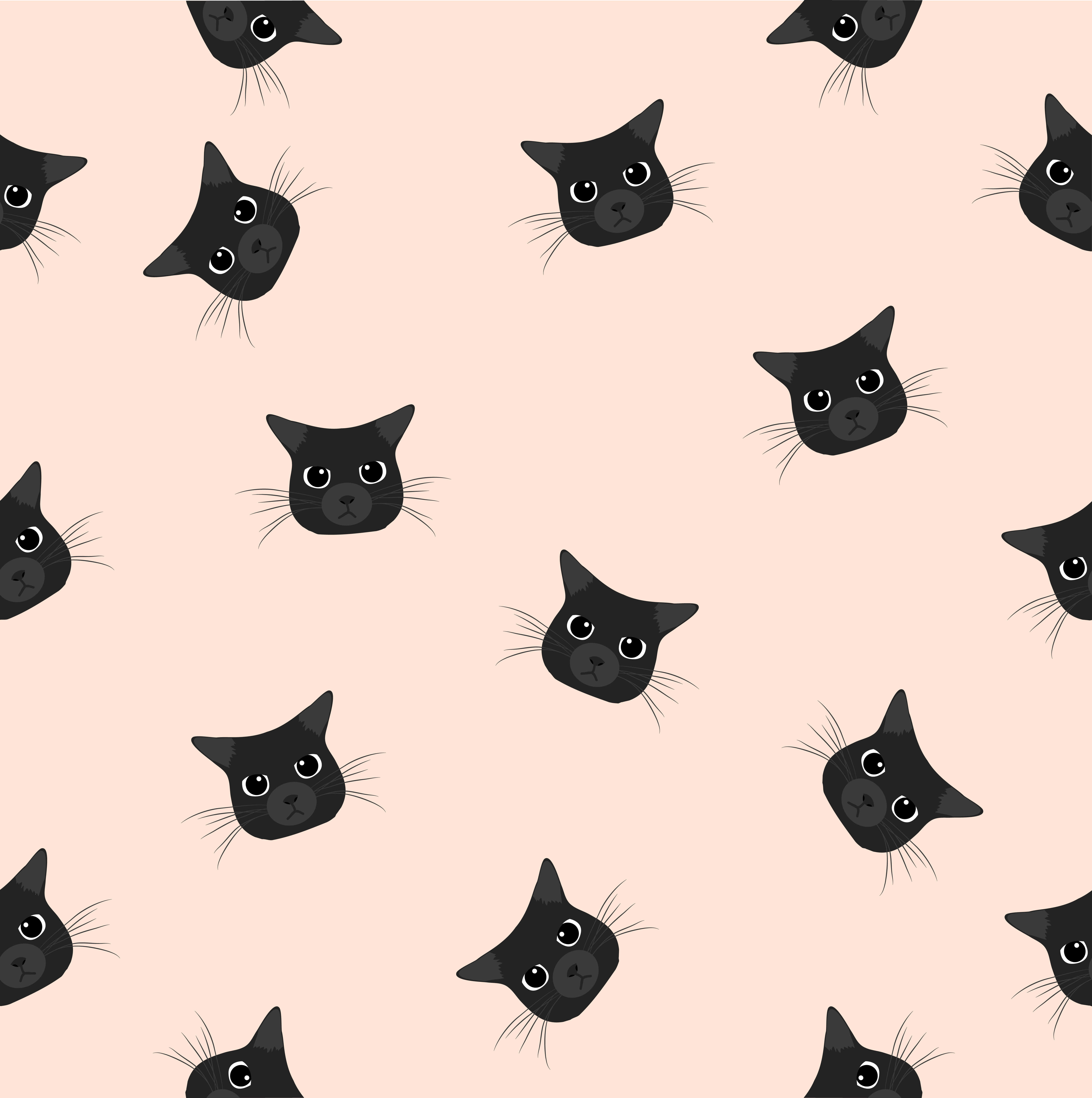 Meraklı Bir Kara Kedi Çevresini Gözetliyor Duvar Kağıdı