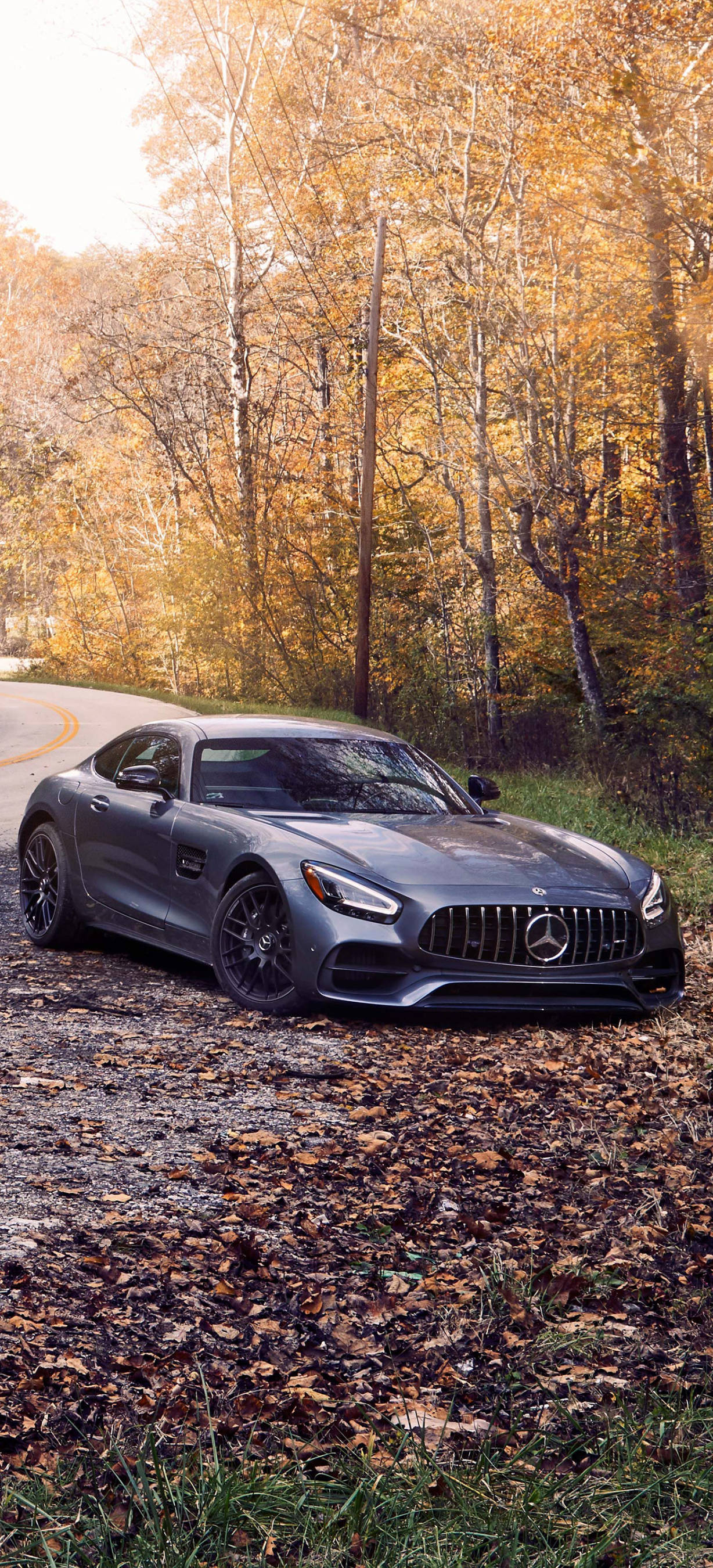 Mercedes AMG Sonbahar Ağaçları iPhone Duvar Kağıdı