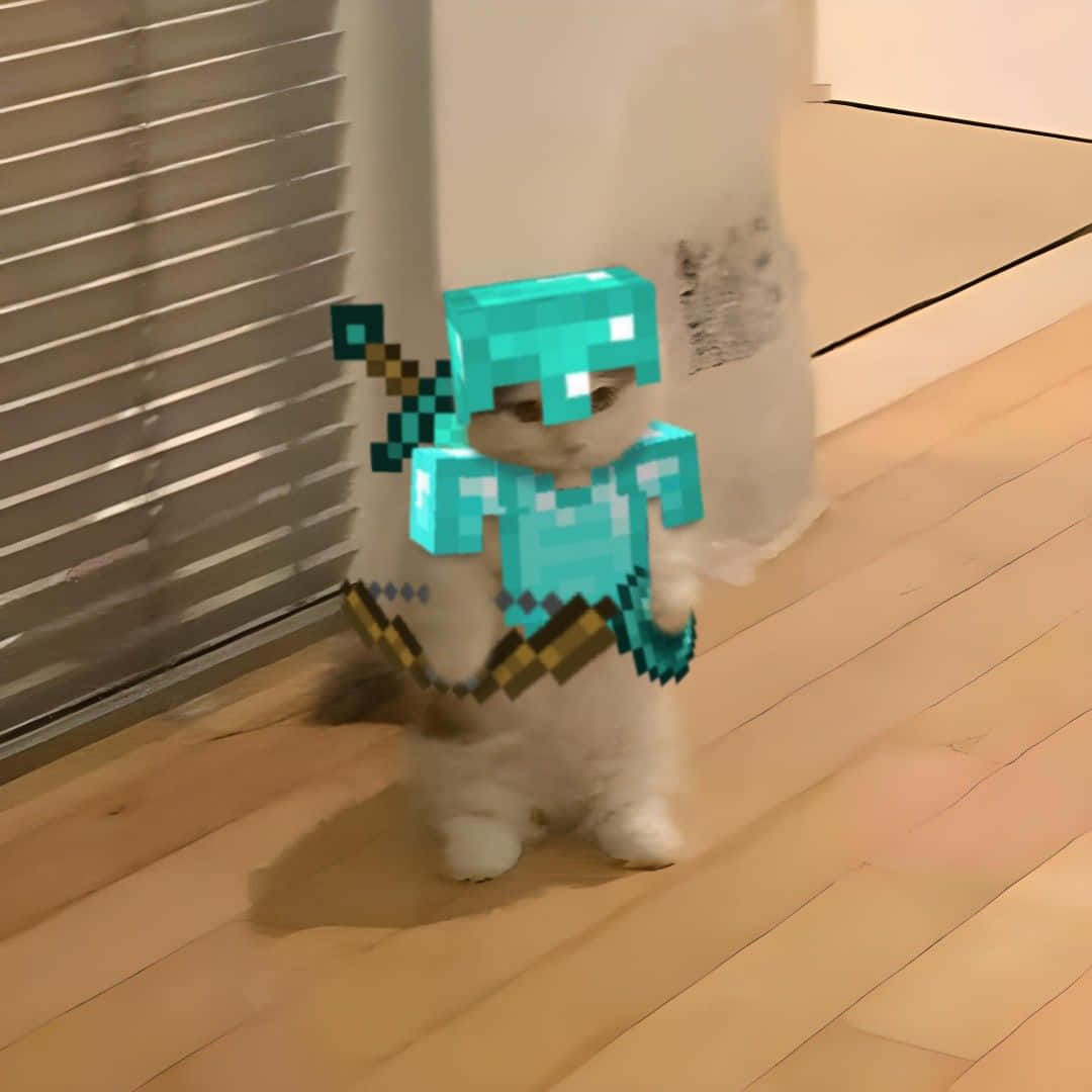 Minecraft Elmas Zırhlı Kedi Profil Fotoğrafı Duvar Kağıdı