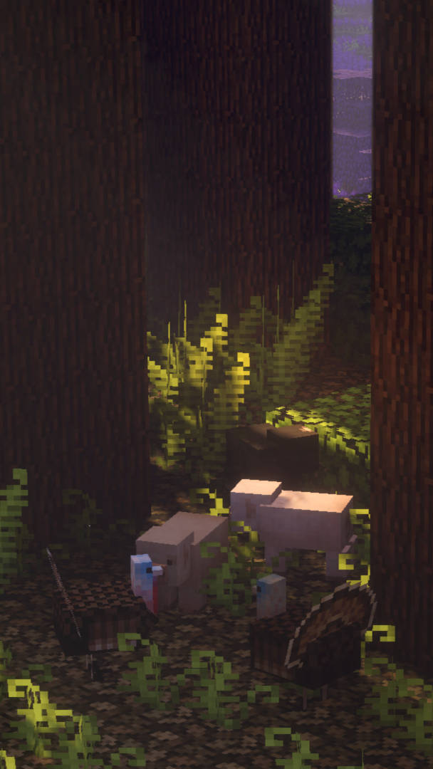 Minecraft Estetik Gizli Karanlık Orman Duvar Kağıdı