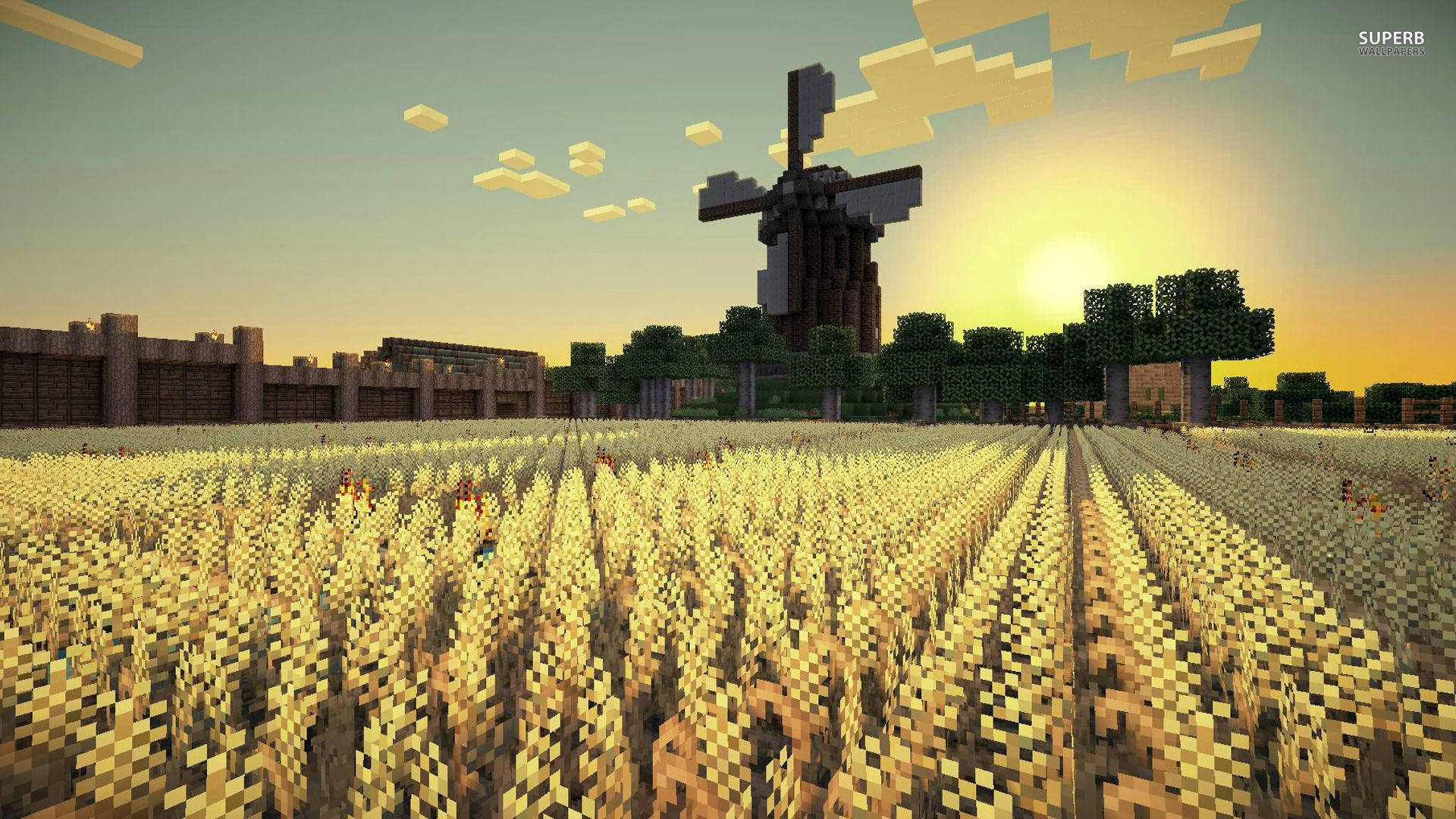Minecraft pirinç tarlası sabah gün doğumu manzarası duvar kağıdı