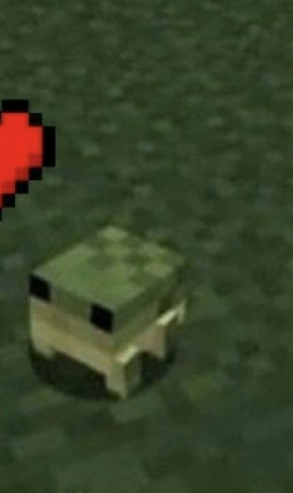 Minecraft'tan Sevimli Kurbağa Profil Resmi Duvar Kağıdı