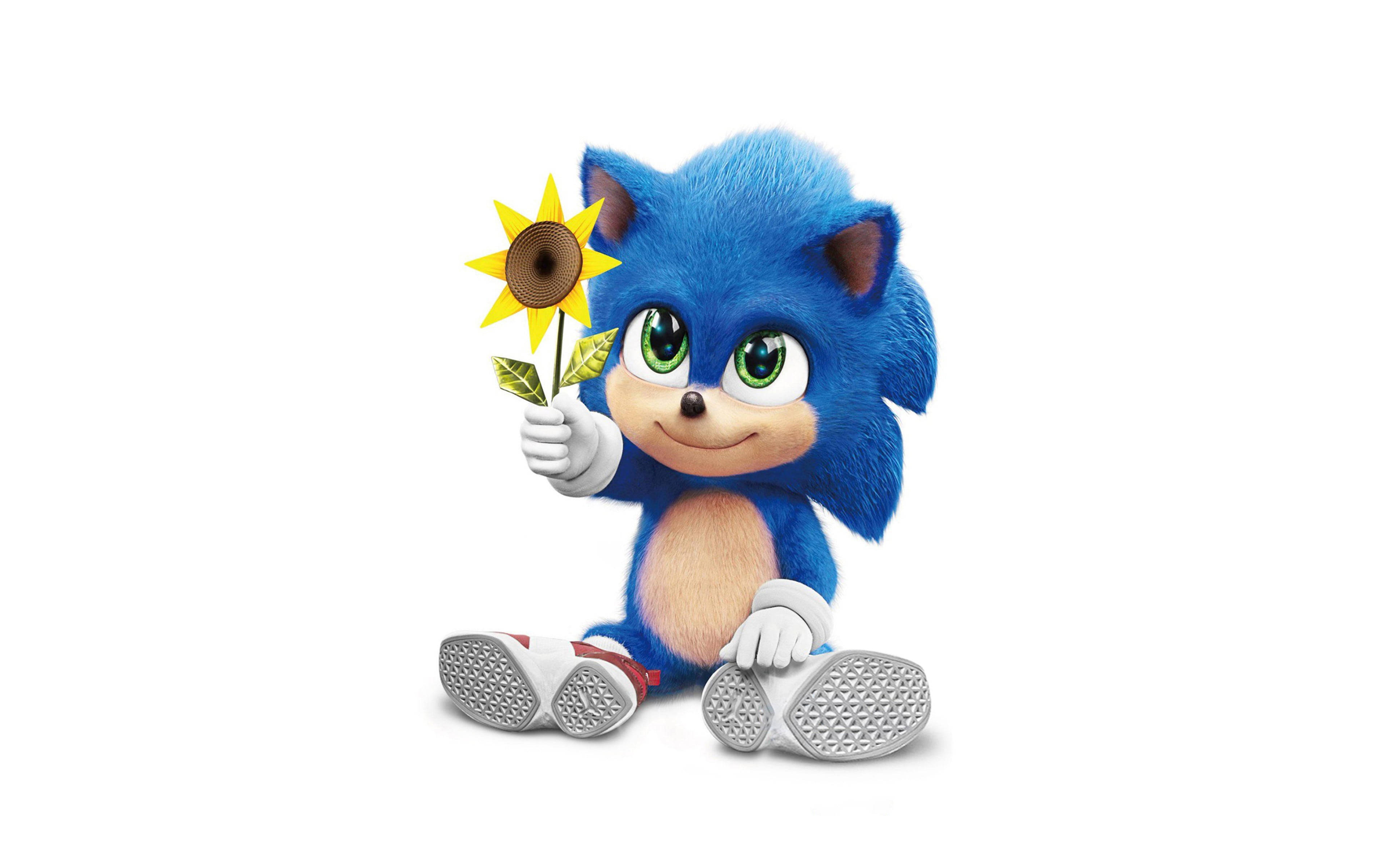 Mini Sonic The Hedgehog Duvar Kağıdı