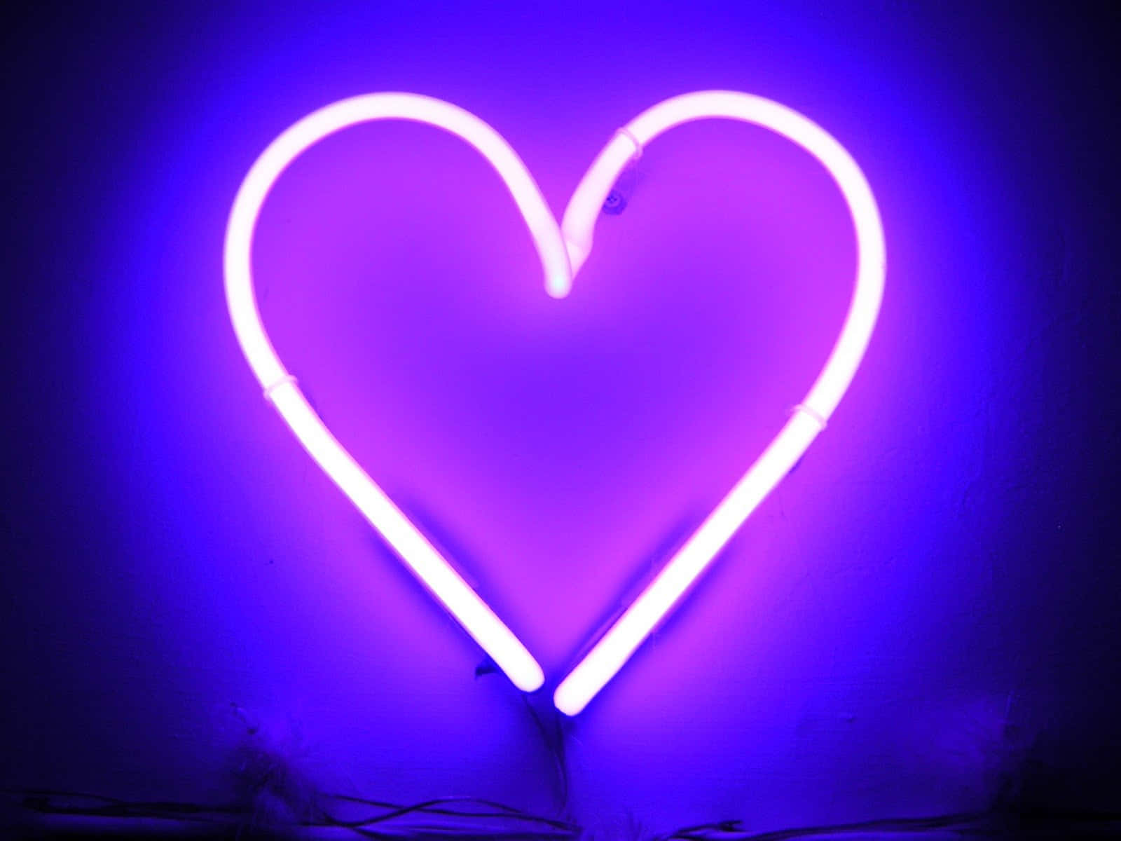 Minimalist Mor Neon Kalp Işığı Fotoğrafı Duvar Kağıdı