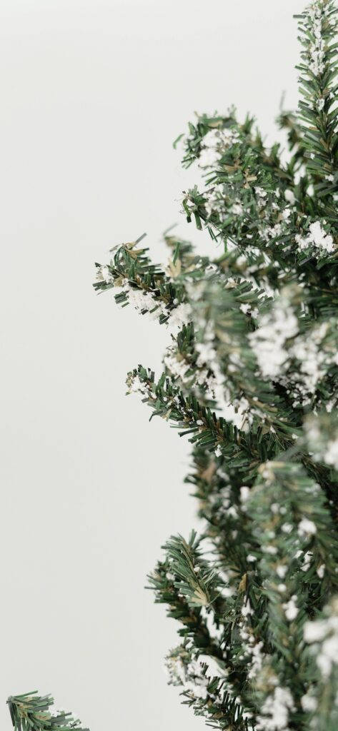 Minimalist Noel Çam Dalları Duvar Kağıdı