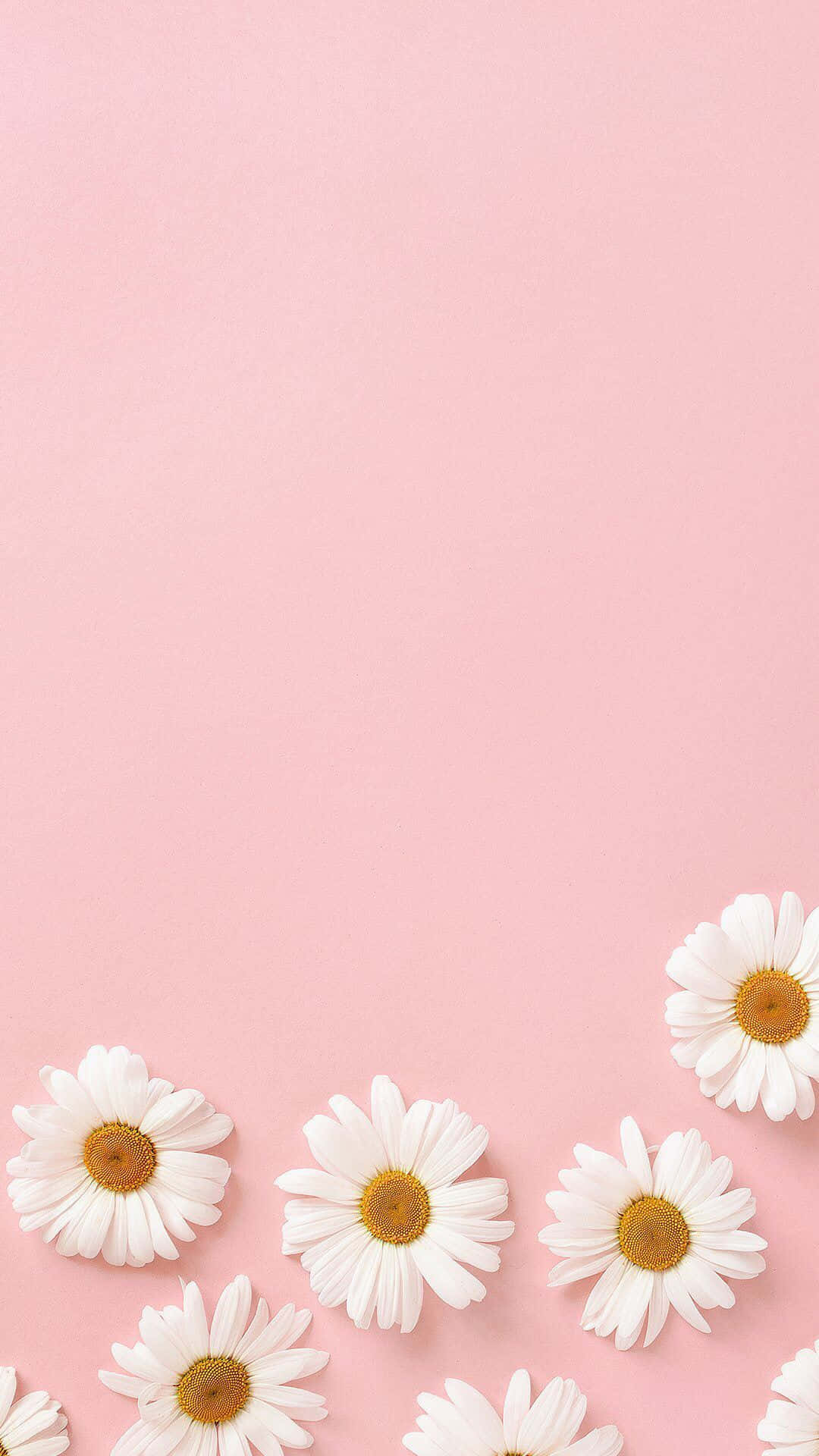 Minimalist Pastel Pembe Doku Arka Planı Duvar Kağıdı