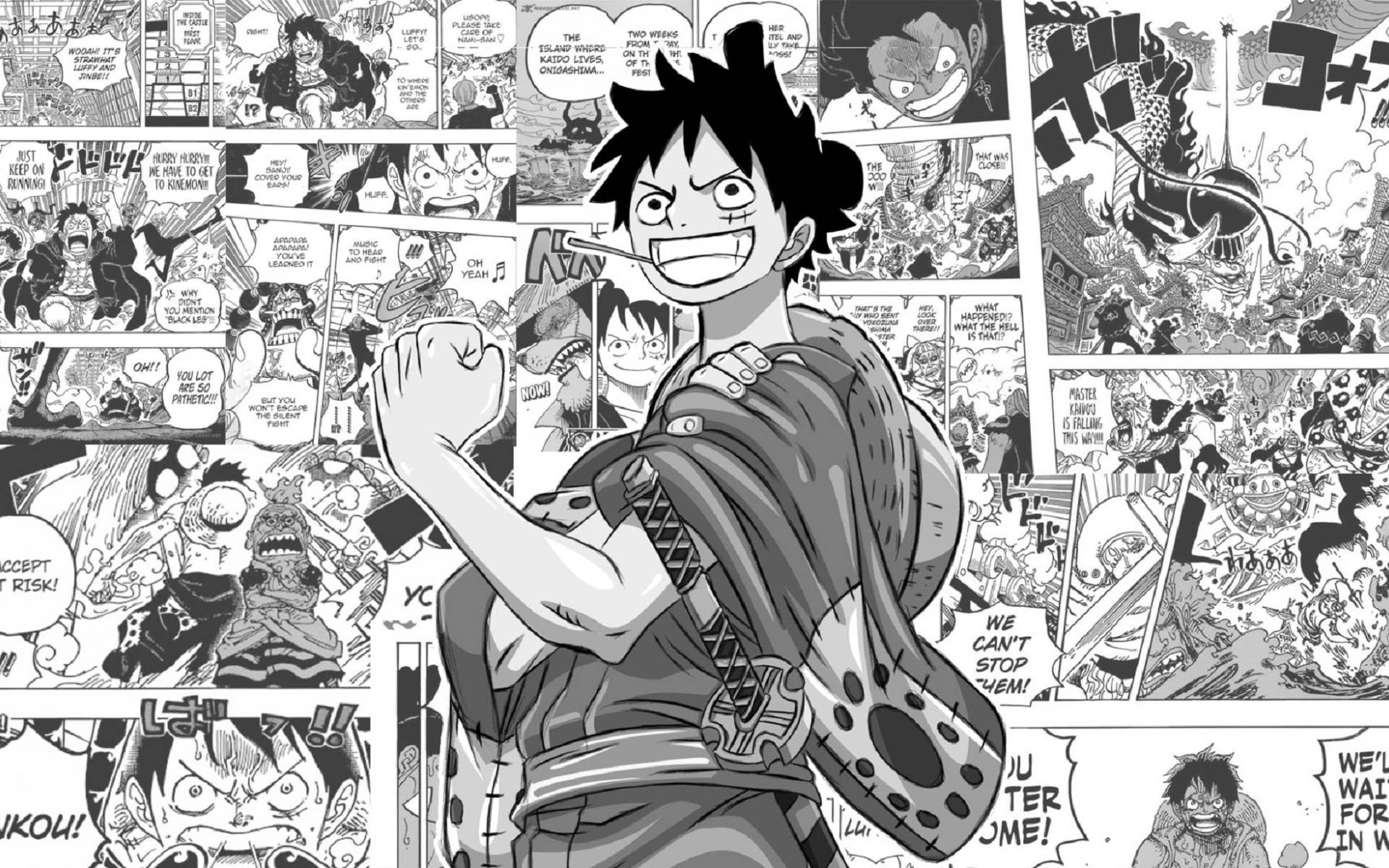 Monkey D. Luffy Manga Paneli Duvar Kağıdı