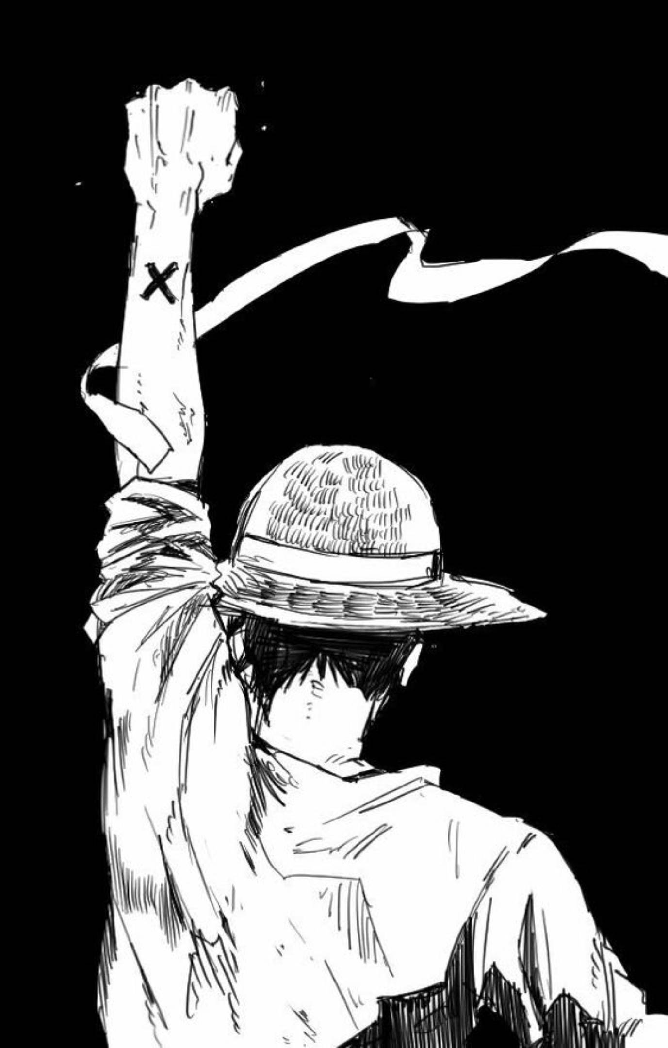 Monkey D Luffy Sırt Karakalem Sanatı Duvar Kağıdı