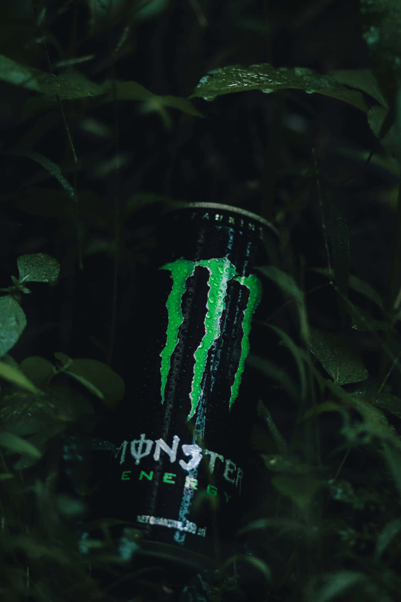 Monster Energy ile canavarı serbest bırakın Duvar Kağıdı
