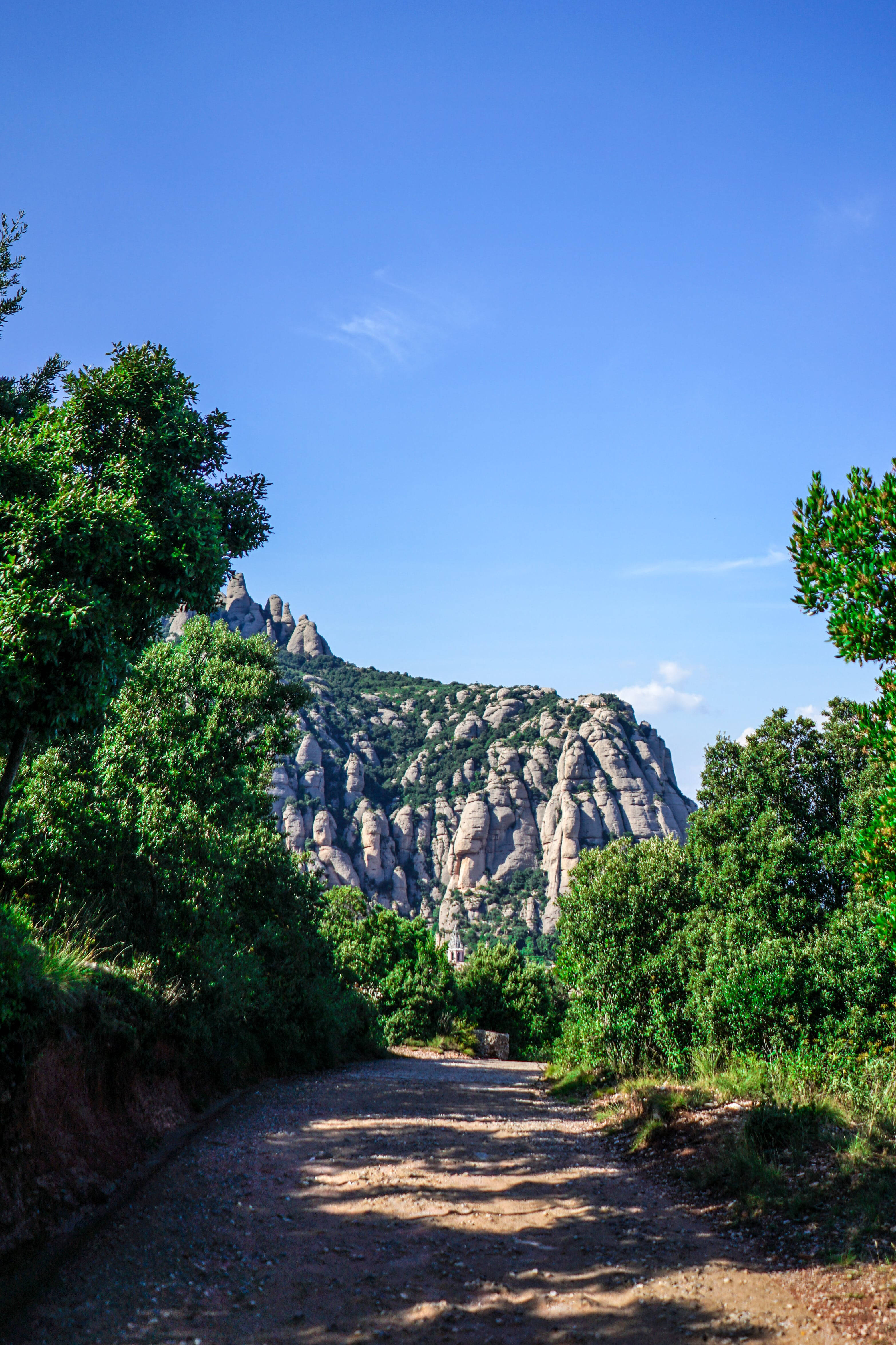Montserrat Orman Patikası Duvar Kağıdı