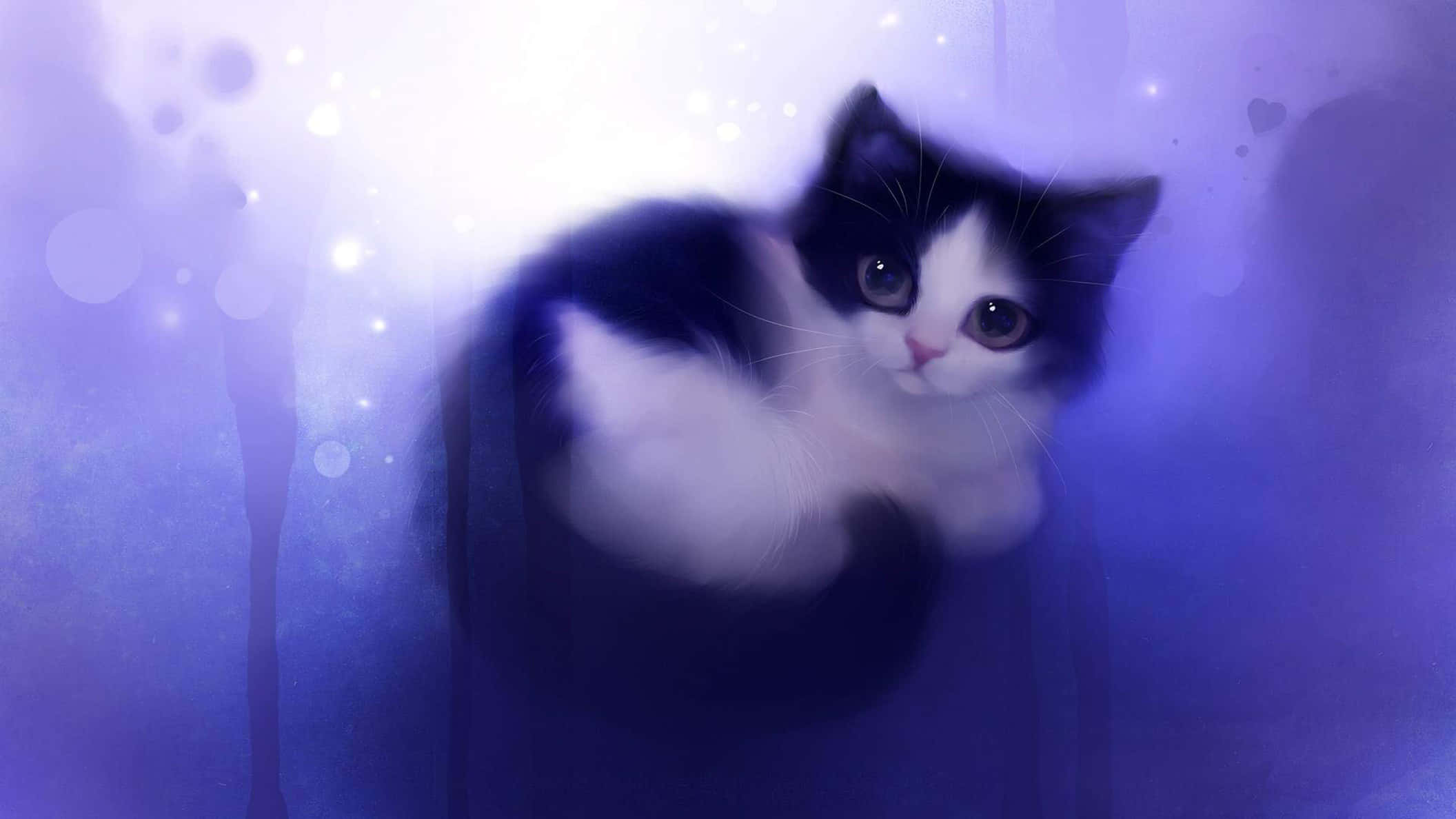 mor bir arka planda oturan siyah beyaz bir kedi Duvar Kağıdı