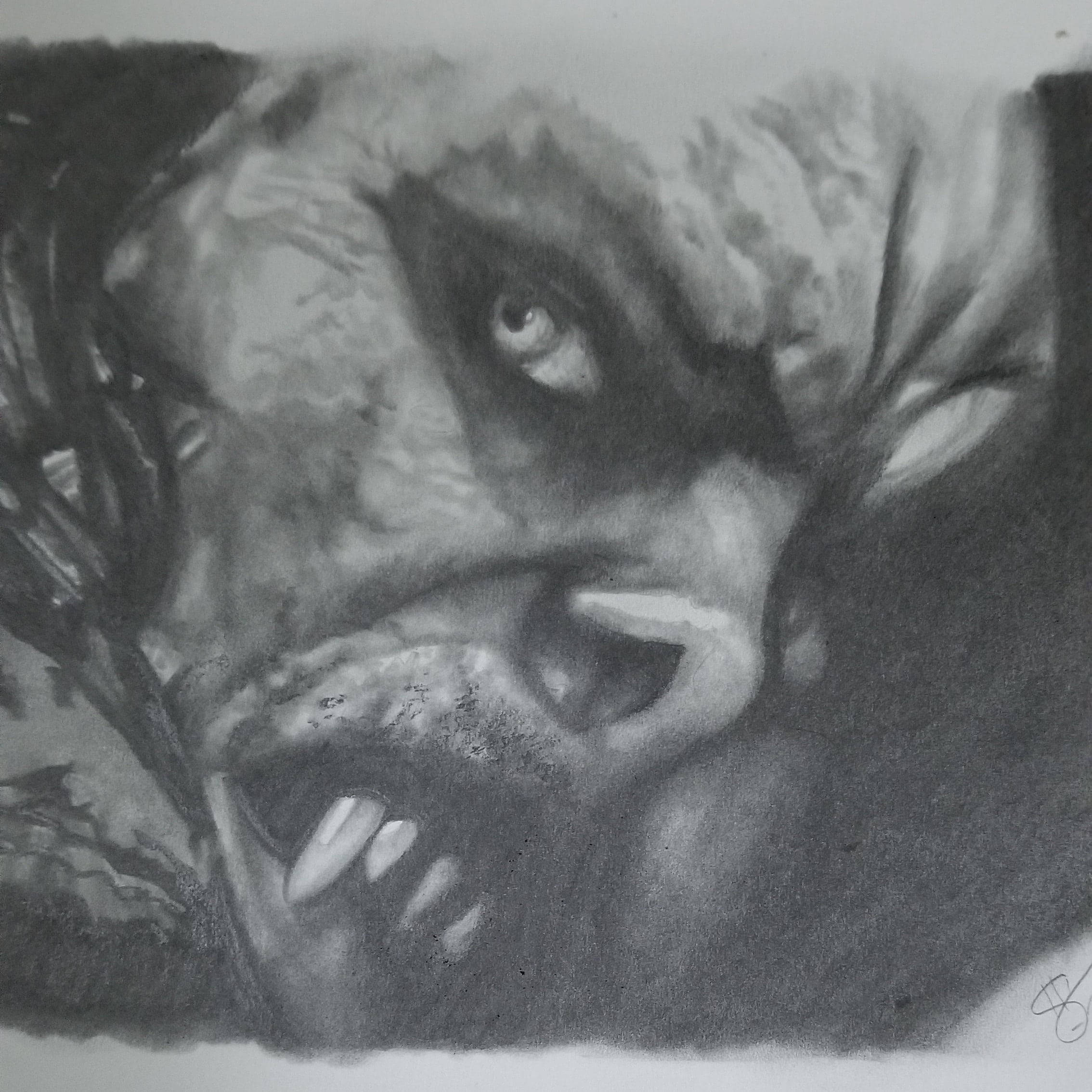 Morbius Yüz Çizimi Duvar Kağıdı