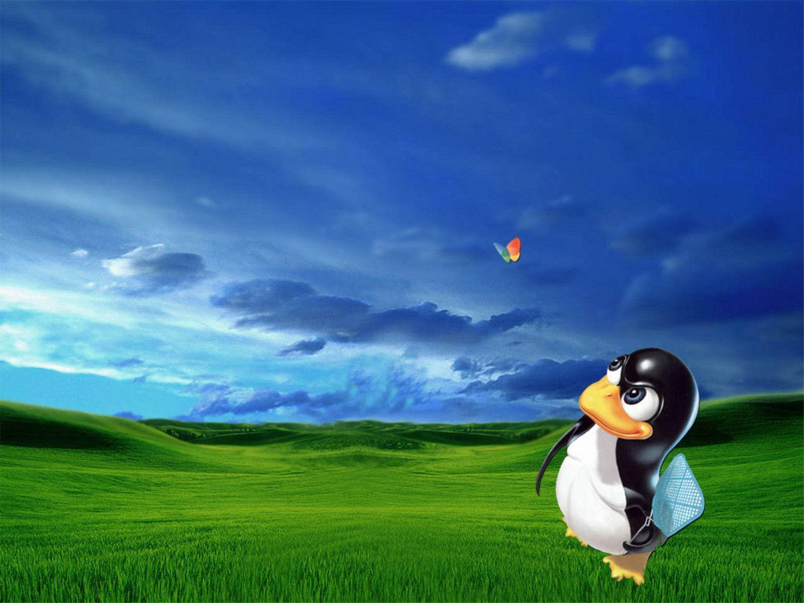 MSN Kelebeği ve Tux Duvar Kağıdı