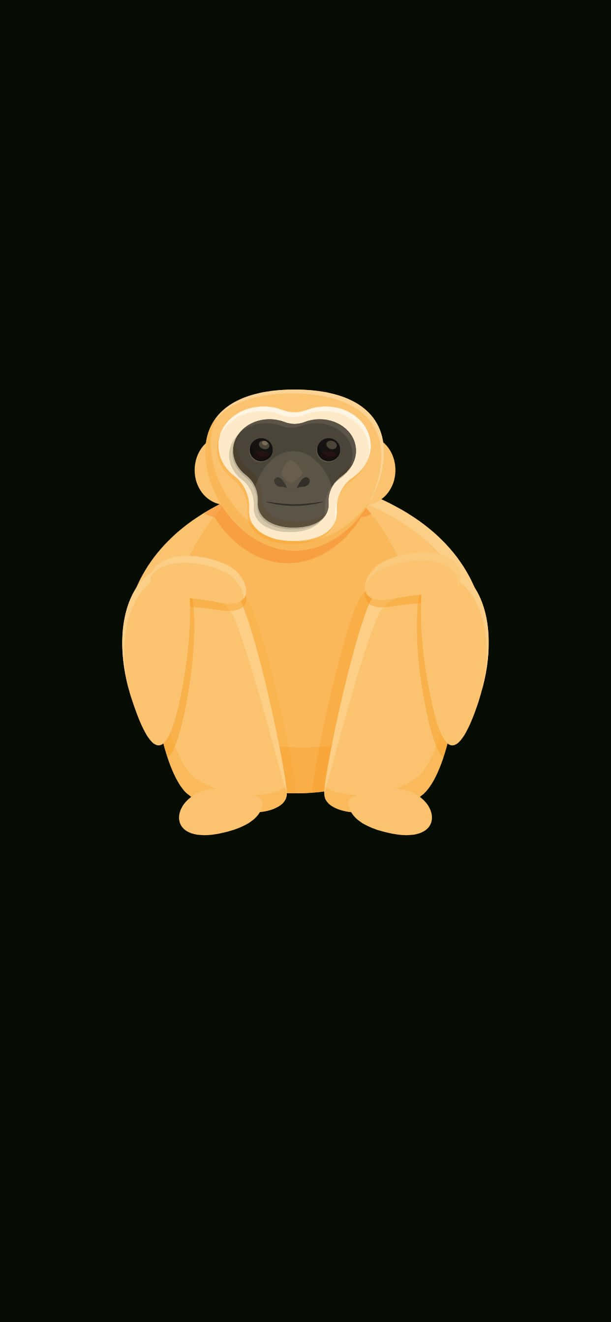Muhteşem iPhone Xs Max Gibbon Duvar Kağıdı