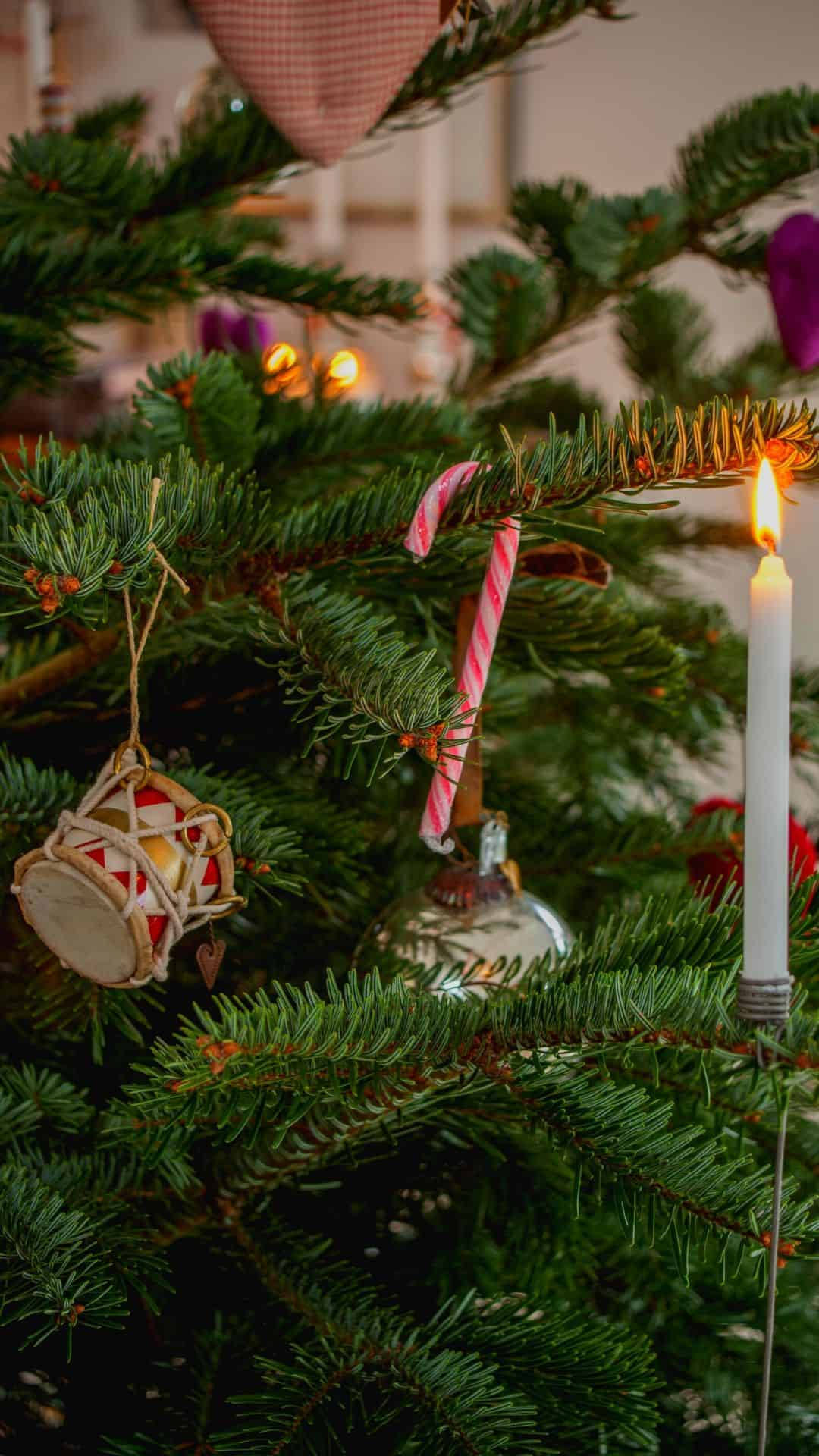 Mükemmel Estetik Noel iPhone Duvar Kağıdı