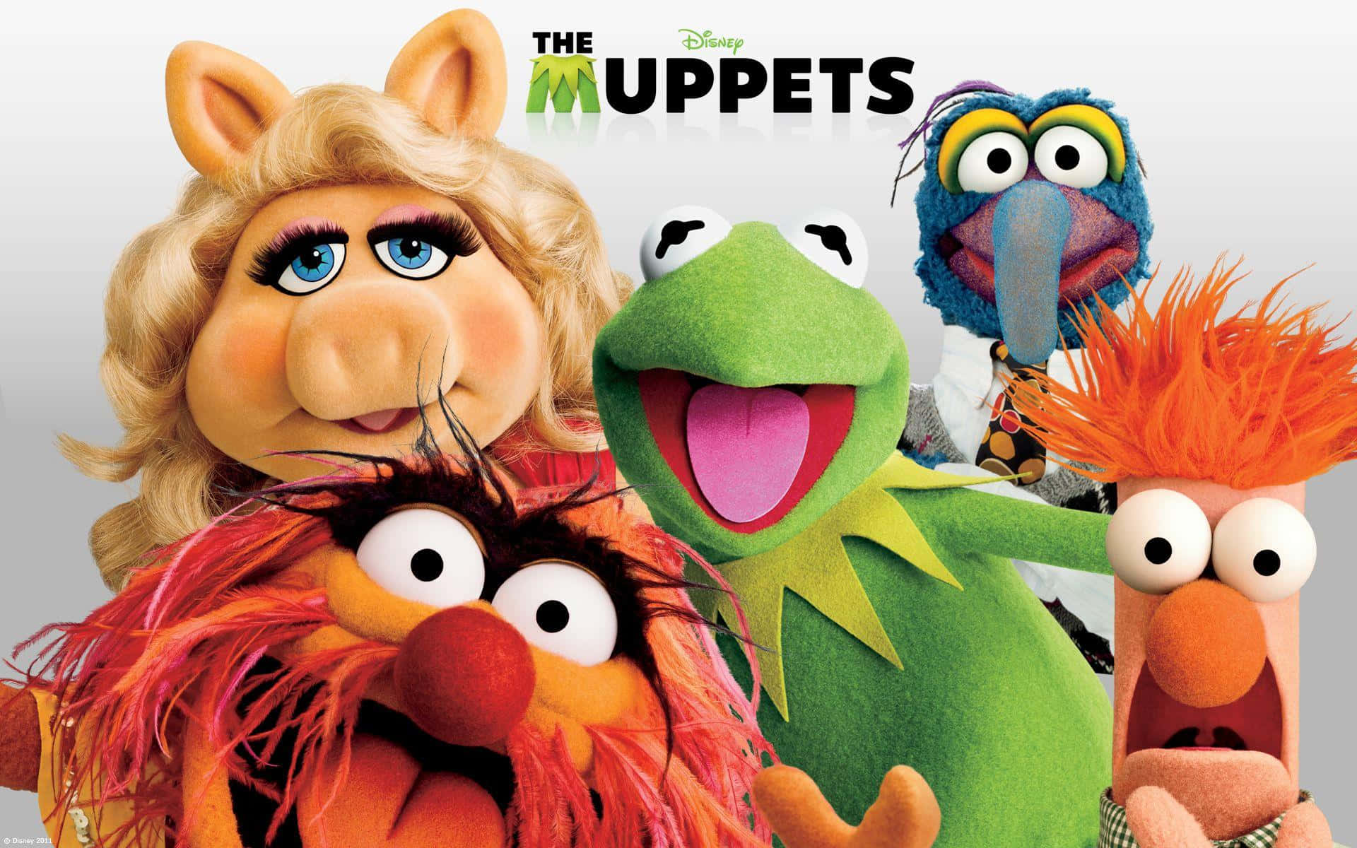 Muppets film afişi Duvar Kağıdı