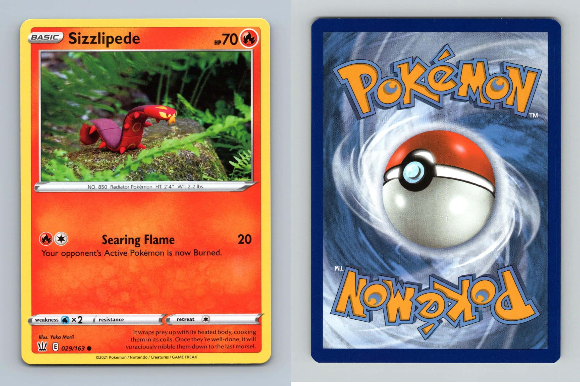 Nadir Sizzlipede Pokemon Kartı Duvar Kağıdı