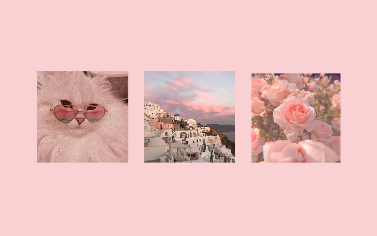 Narin Pembe Pinterest Dizüstü Bilgisayar Duvar Kağıdı