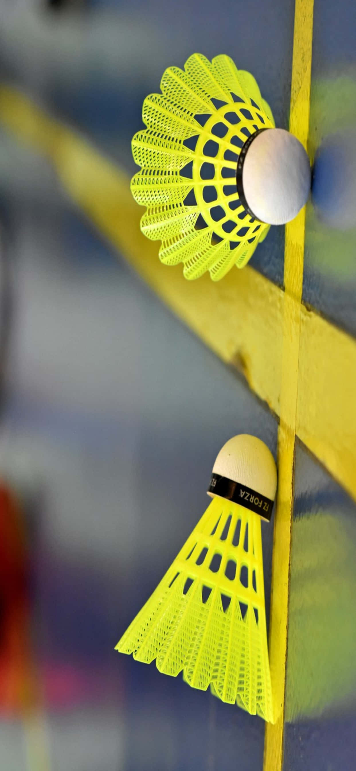 Nefes Kesen Badminton Maçı Sonrası Zafer Kutlamaları Duvar Kağıdı