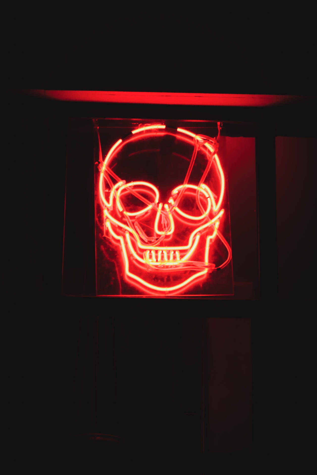 Karanlık bir odanın içinde parlayan neon kırmızı kafatası.