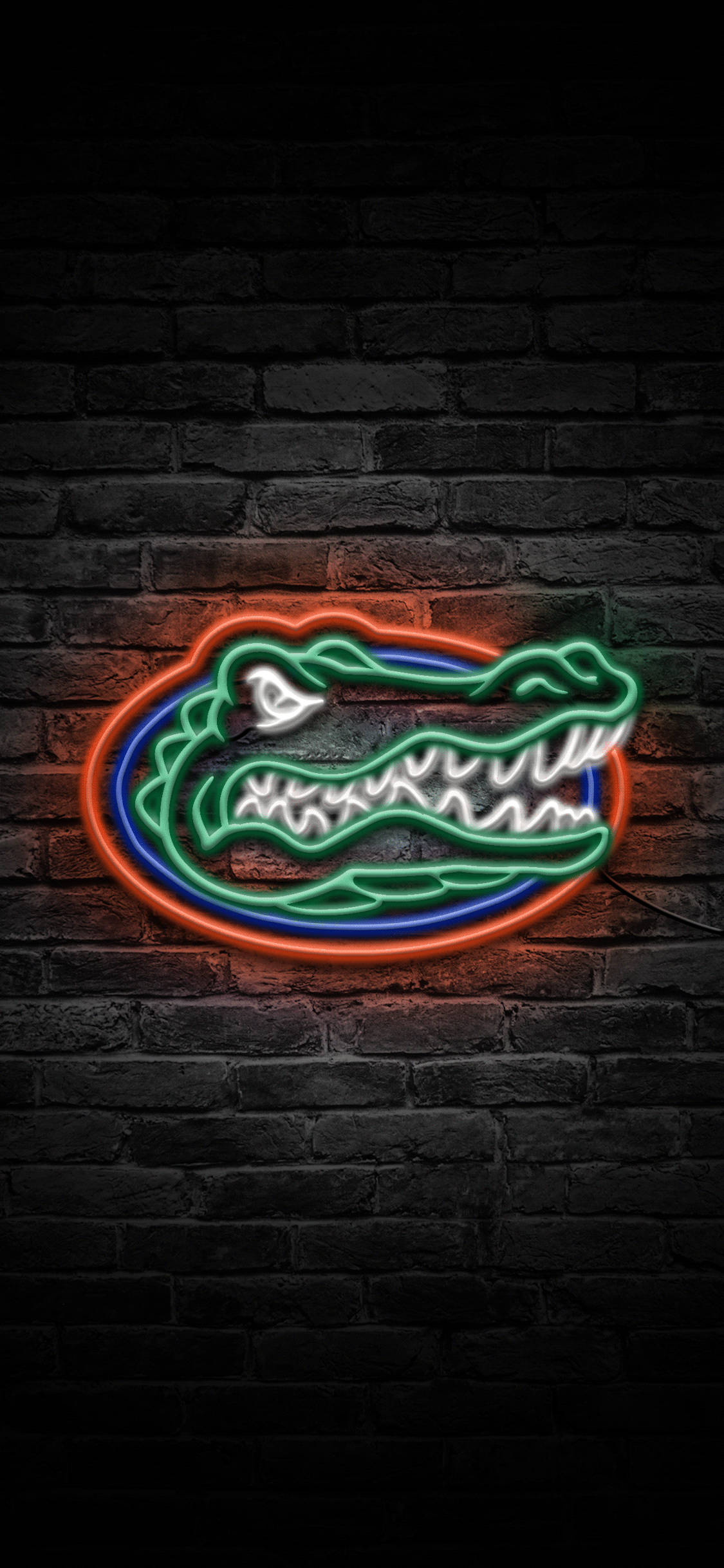 Neon Işıklarda Florida Gators Logosu Duvar Kağıdı