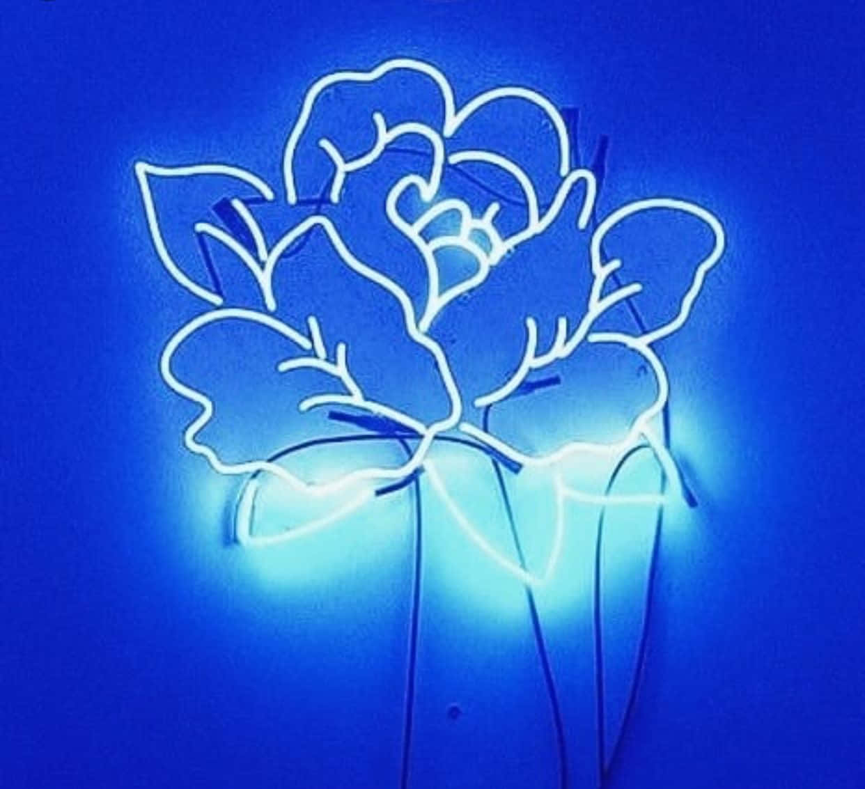 Neon mavi estetiğinin gerçeküstü güzelliğini keşfetmek Duvar Kağıdı