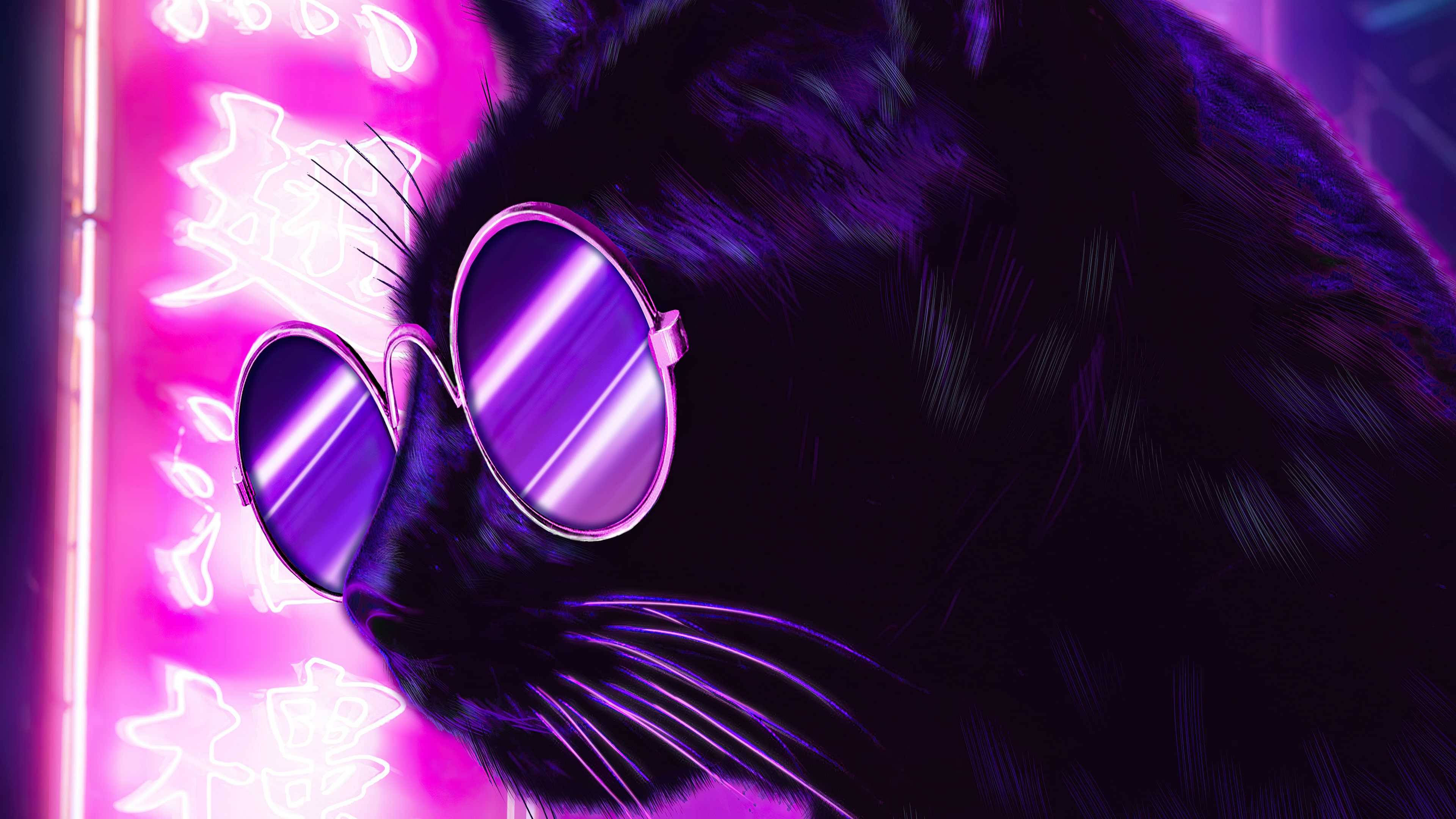 Neon Mor Estetik Güneş Gözlüklü Kedi Duvar Kağıdı