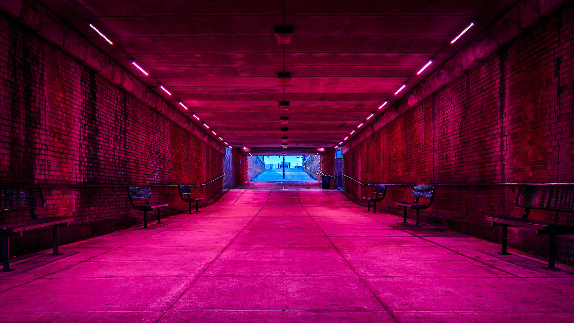 Neon Pembe Yeraltı Tüneli Duvar Kağıdı