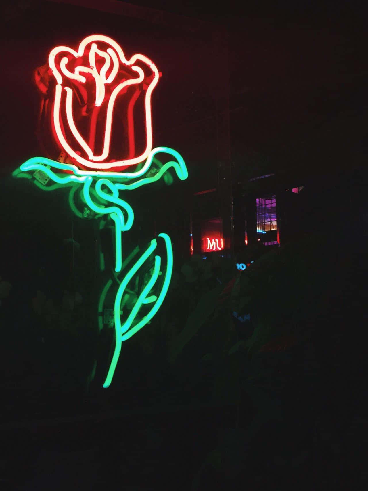 Neon ışıklar sana yol göstersin ve rehberlik etsin Duvar Kağıdı