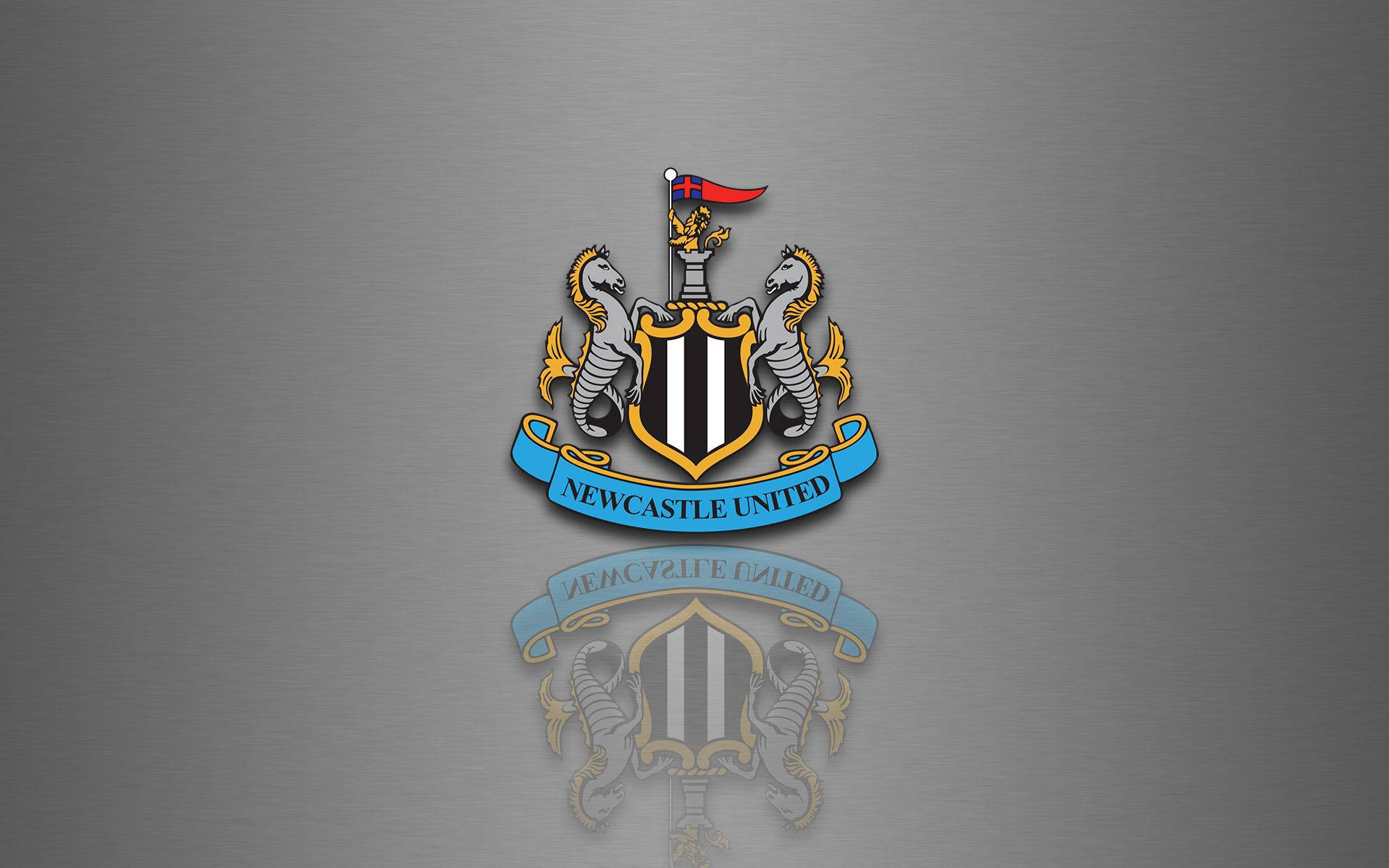 Newcastle United F.C. sahaya çıkarken kükreyen bir kalabalık izliyor! Duvar Kağıdı