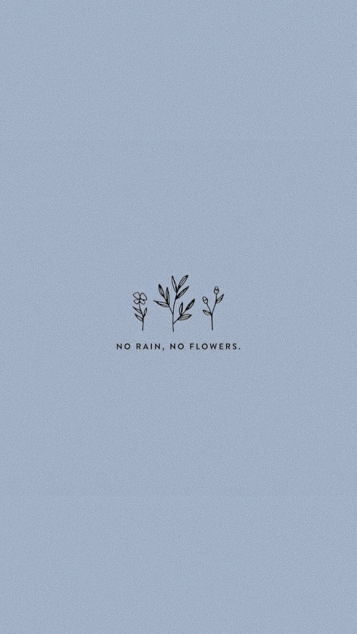 No Rain No Flowers Sevimli Estetik Duvar Kağıdı