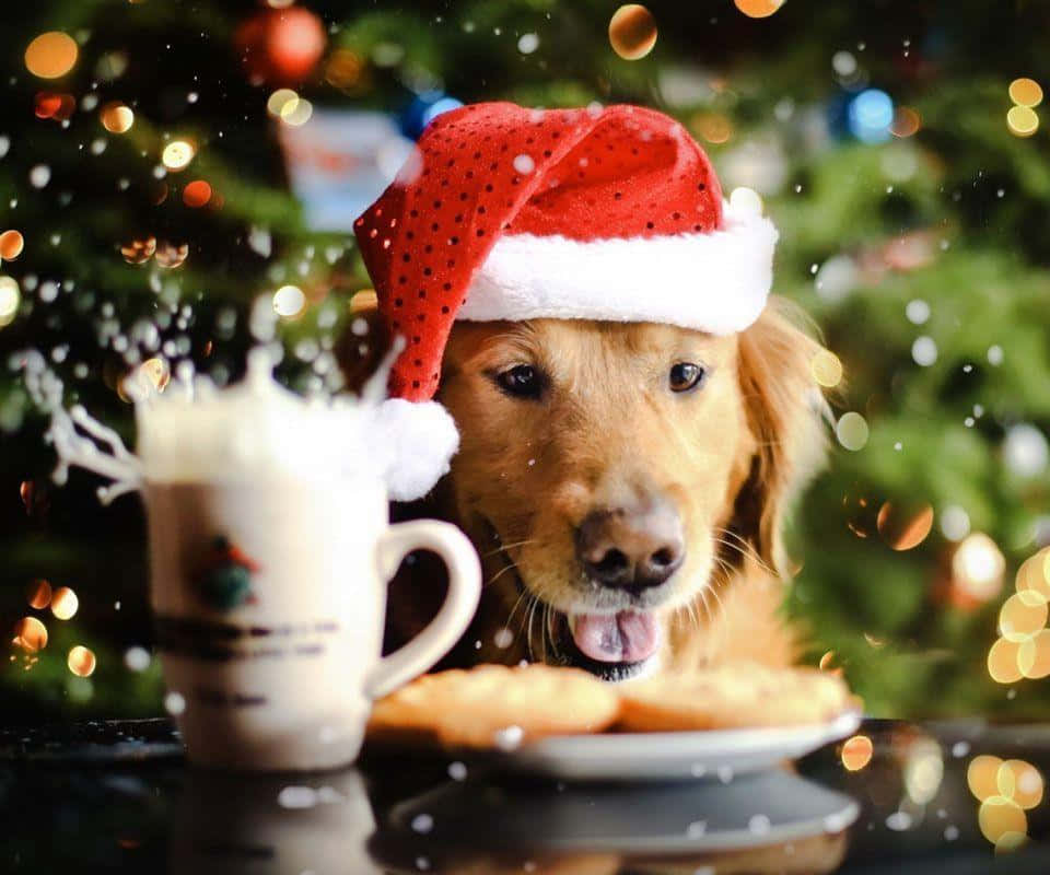 Noel Köpeği Kurabiyeler ve Yumurtalı İçecekle Duvar Kağıdı