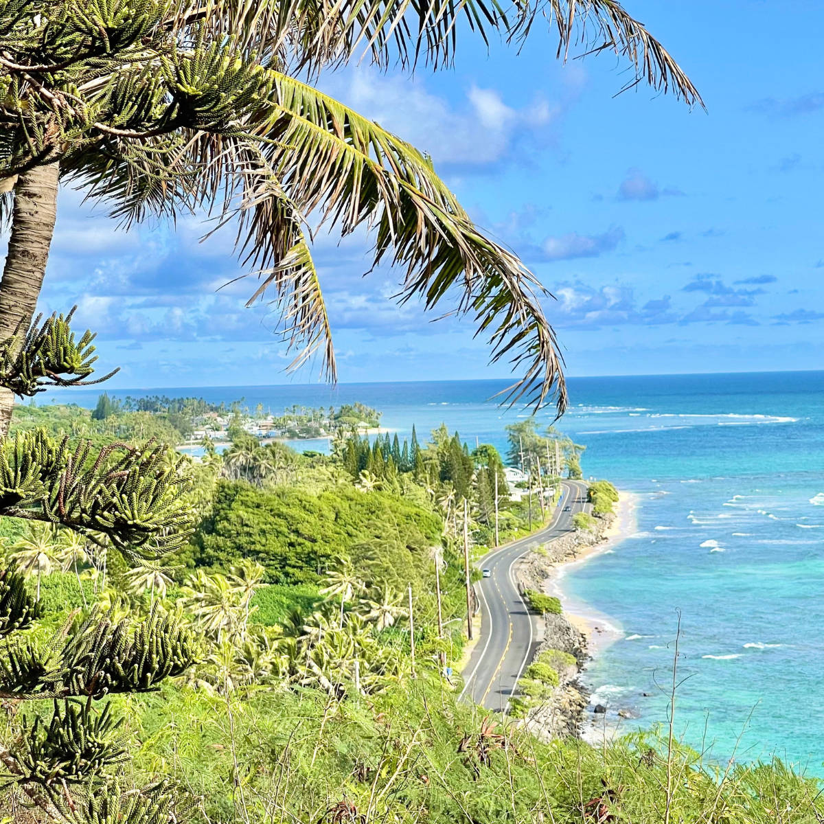 Oahu Yolu Deniz Kenarında Duvar Kağıdı
