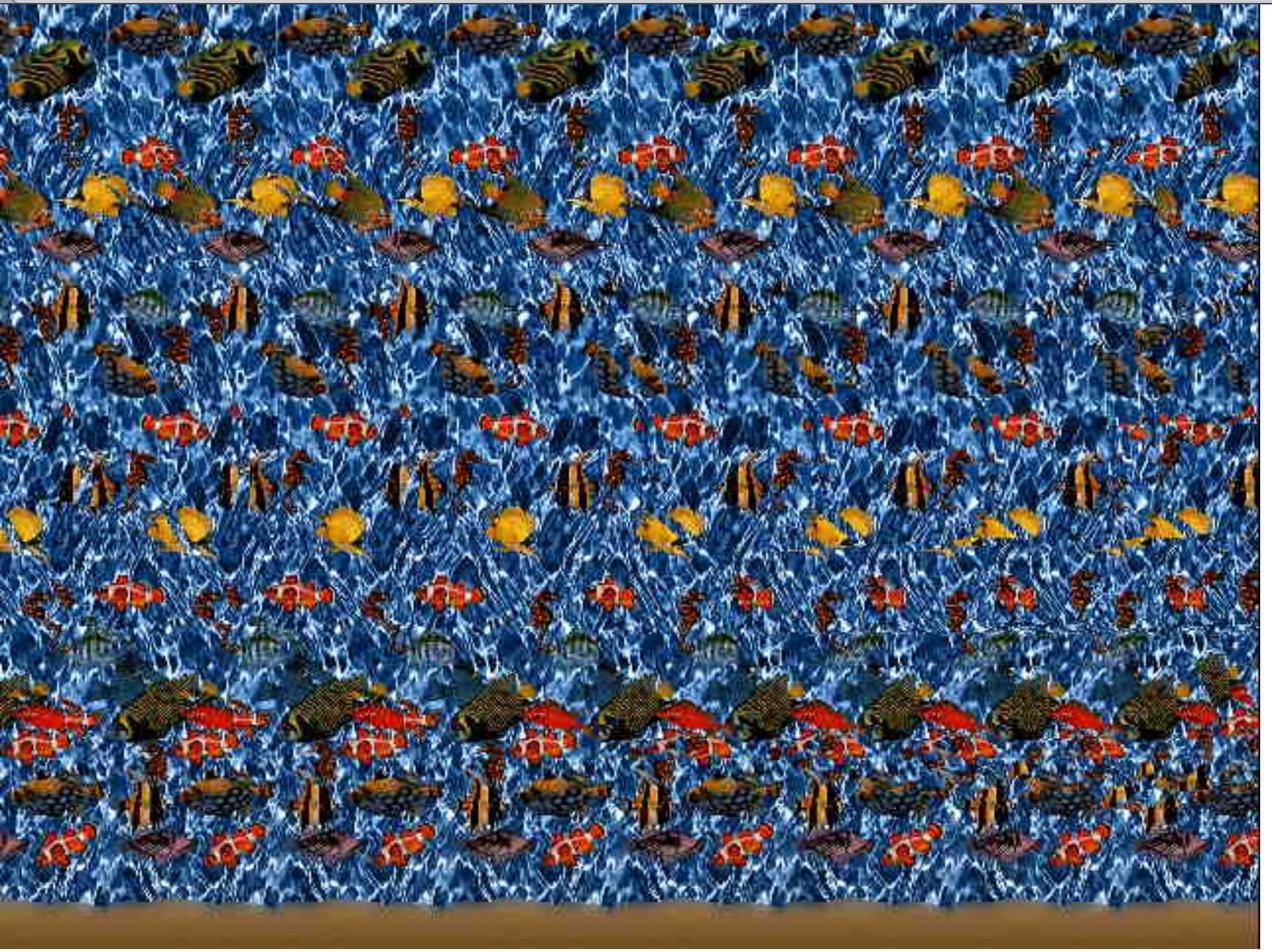 Okyanus Palyaço Balığı Sihirli Göz 3D Stereogram Resmi Duvar Kağıdı