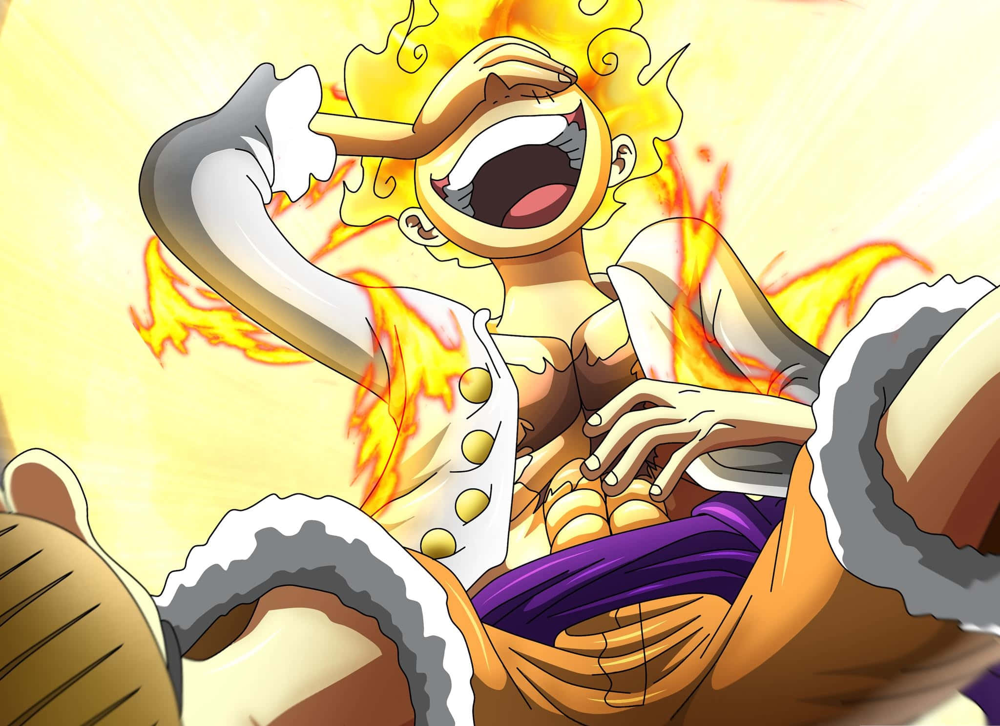 One Piece Gülen Luffy Resmi Duvar Kağıdı