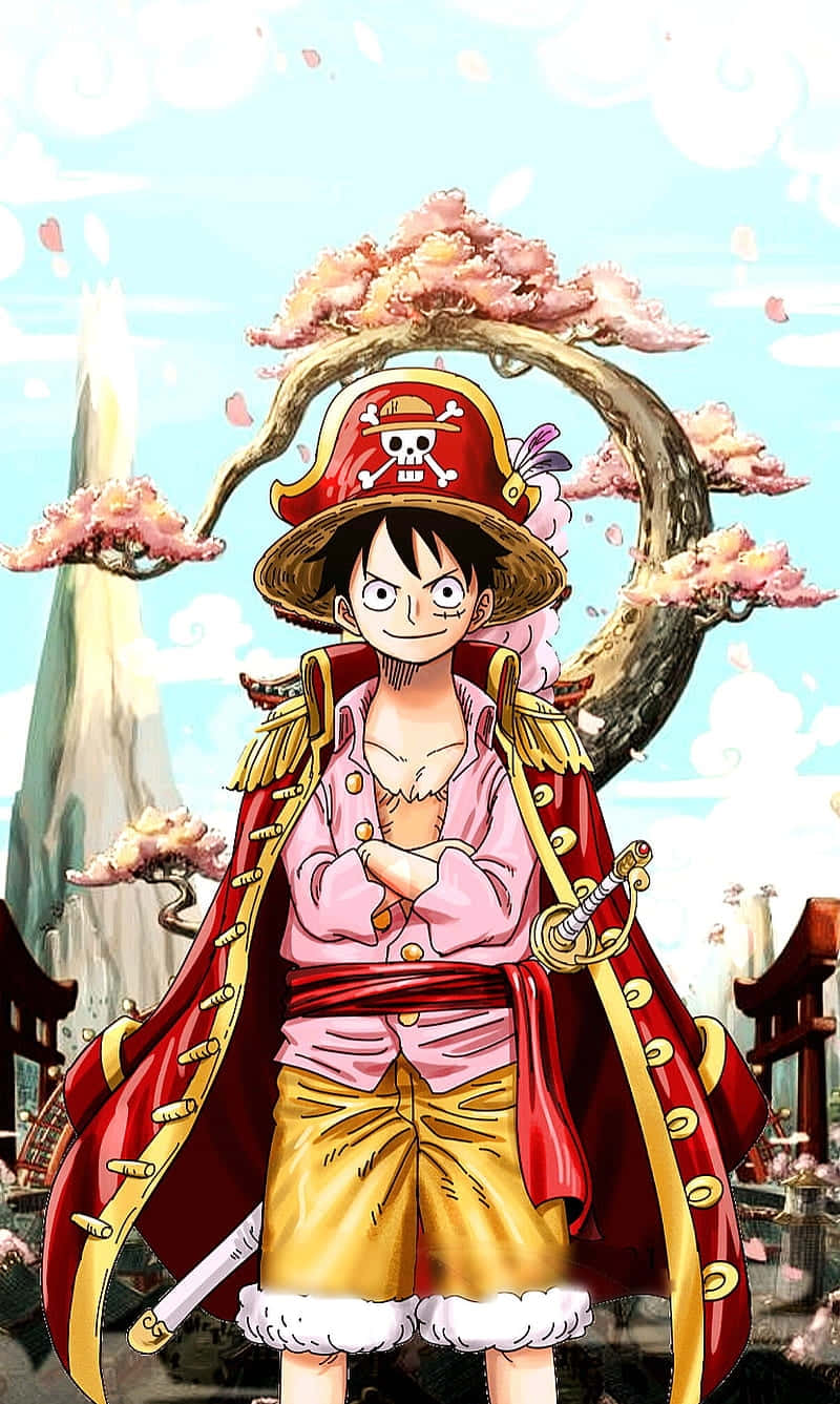 One Piece Luffy Korsan Kralı Resmi Duvar Kağıdı